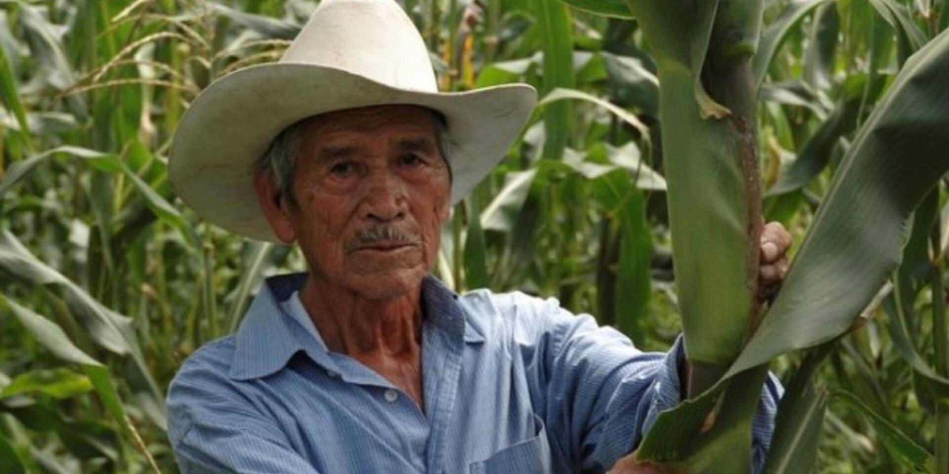 Simulating drought in Guatemala to prepare for climate change