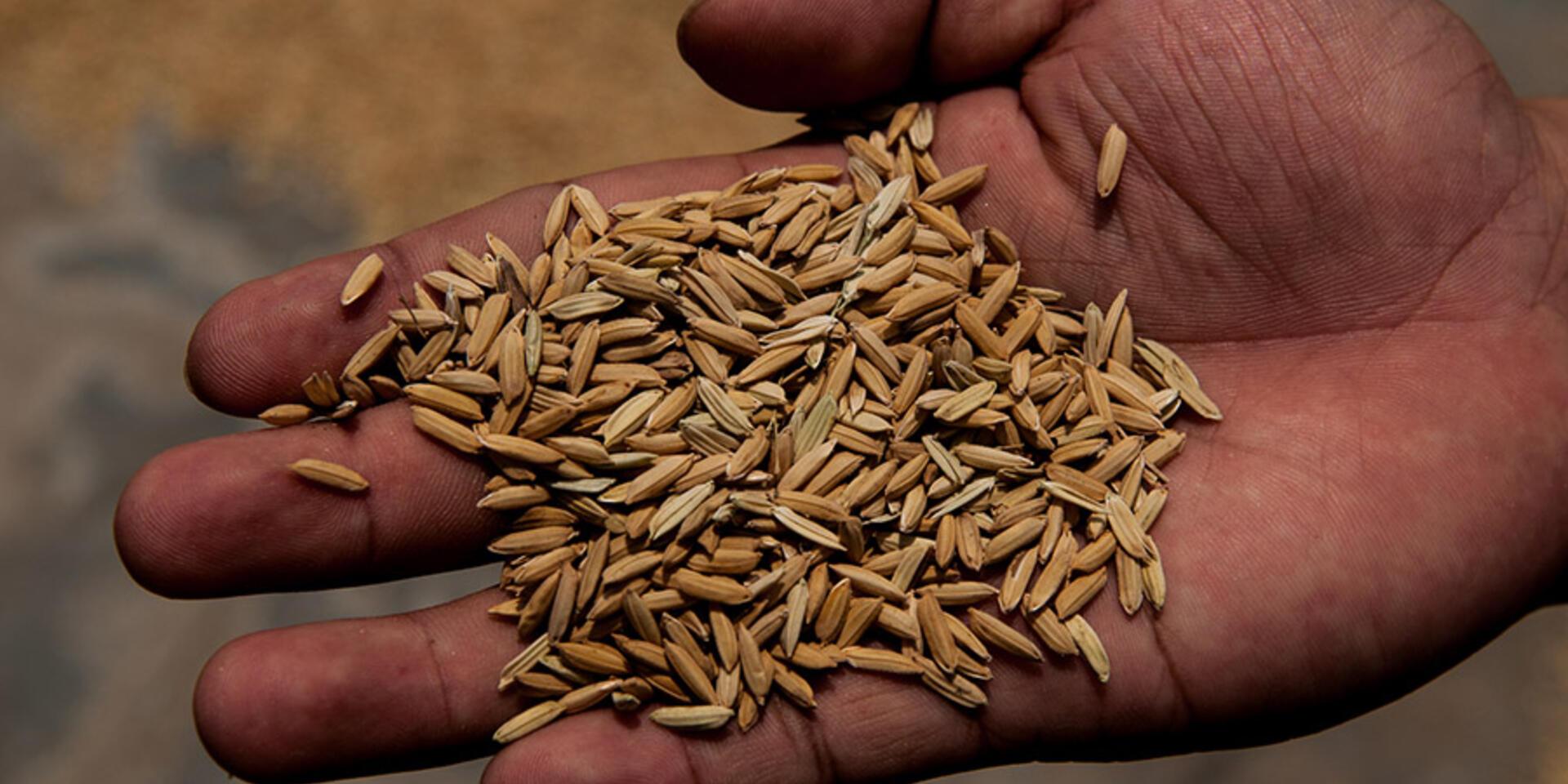 More bang for the climate buck: study identifies hotspots for adaptation funding
