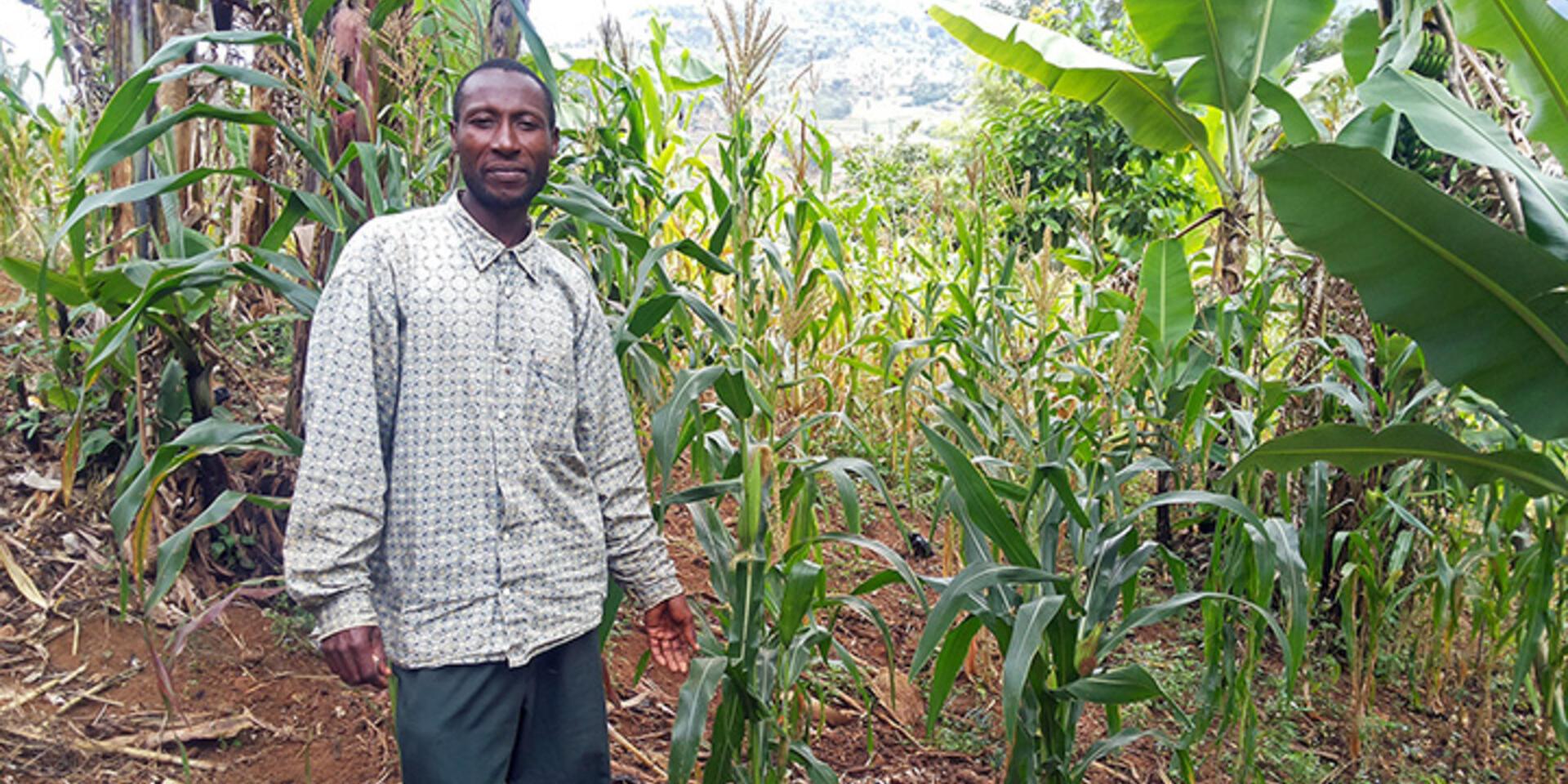 Tailor-made CSA: adapting best-bet practices for East African smallholders