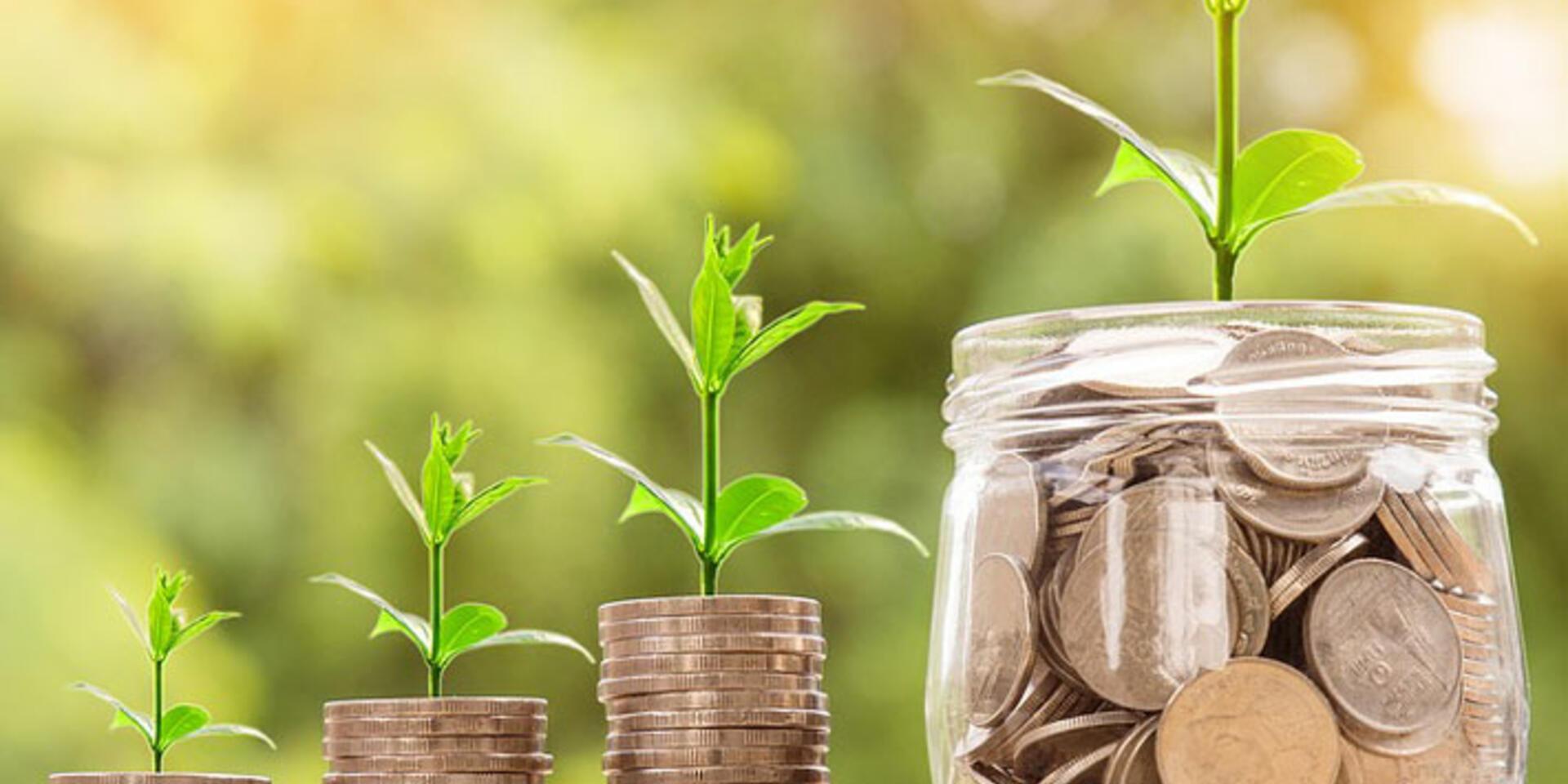 How will we finance the New Deal for Nature?