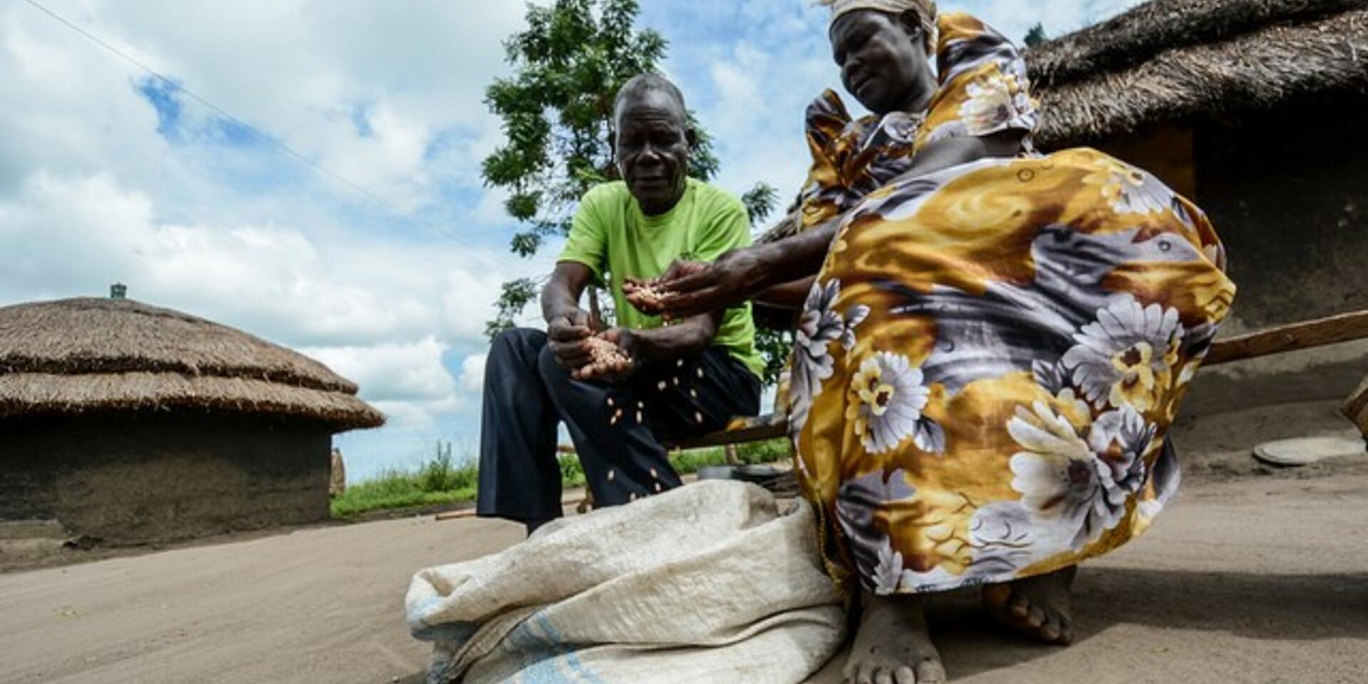 How Can Ugandan Farmers Ease South Sudan Hunger Crisis?
