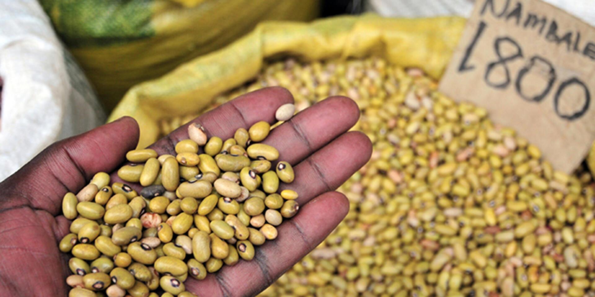 Unsustainable food systems: can we reverse current trends?