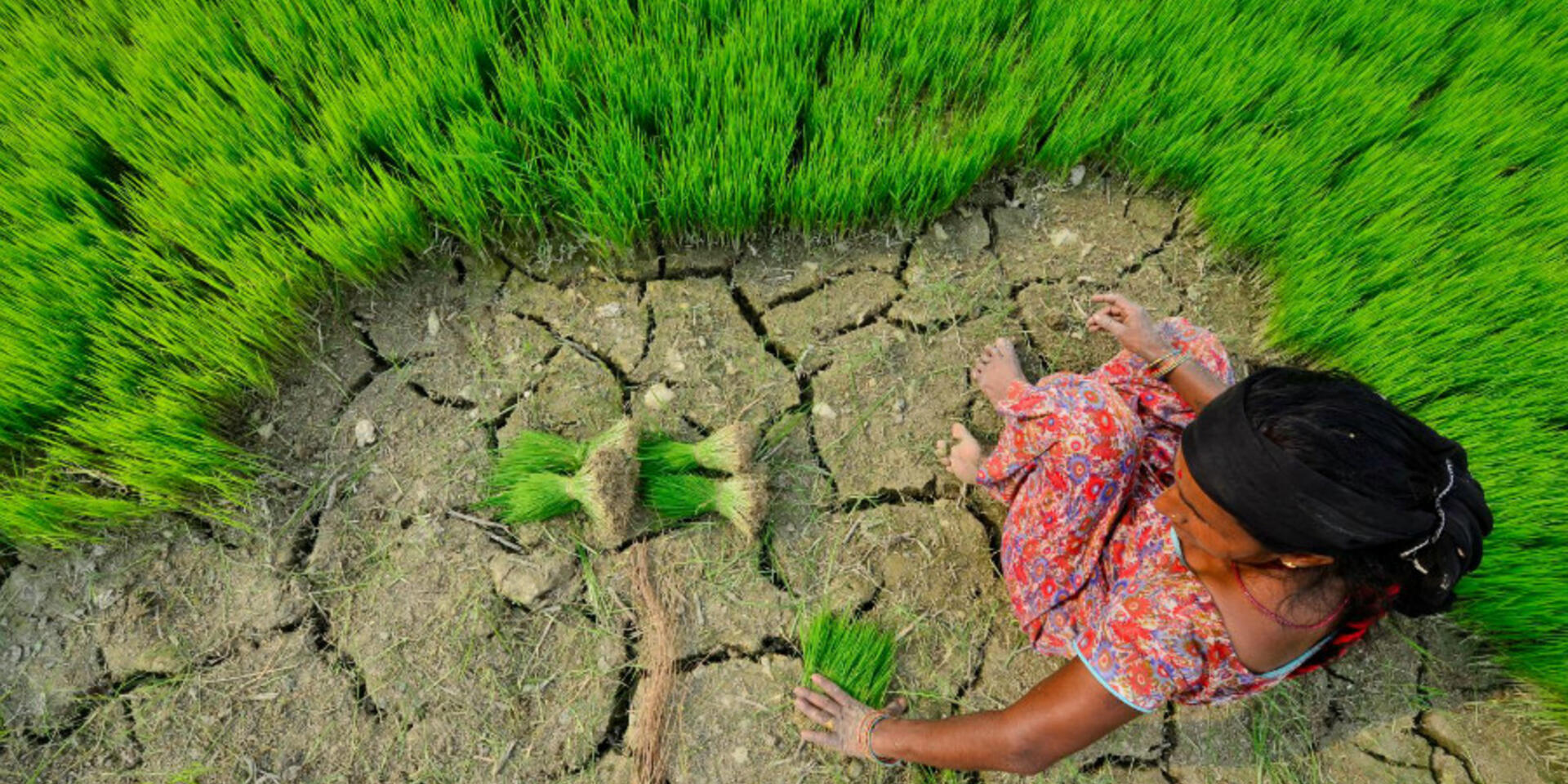 Climate-smart agriculture profiles: A peek into 2050 and what can be done for Asia&rsquo;s most at-risk countries