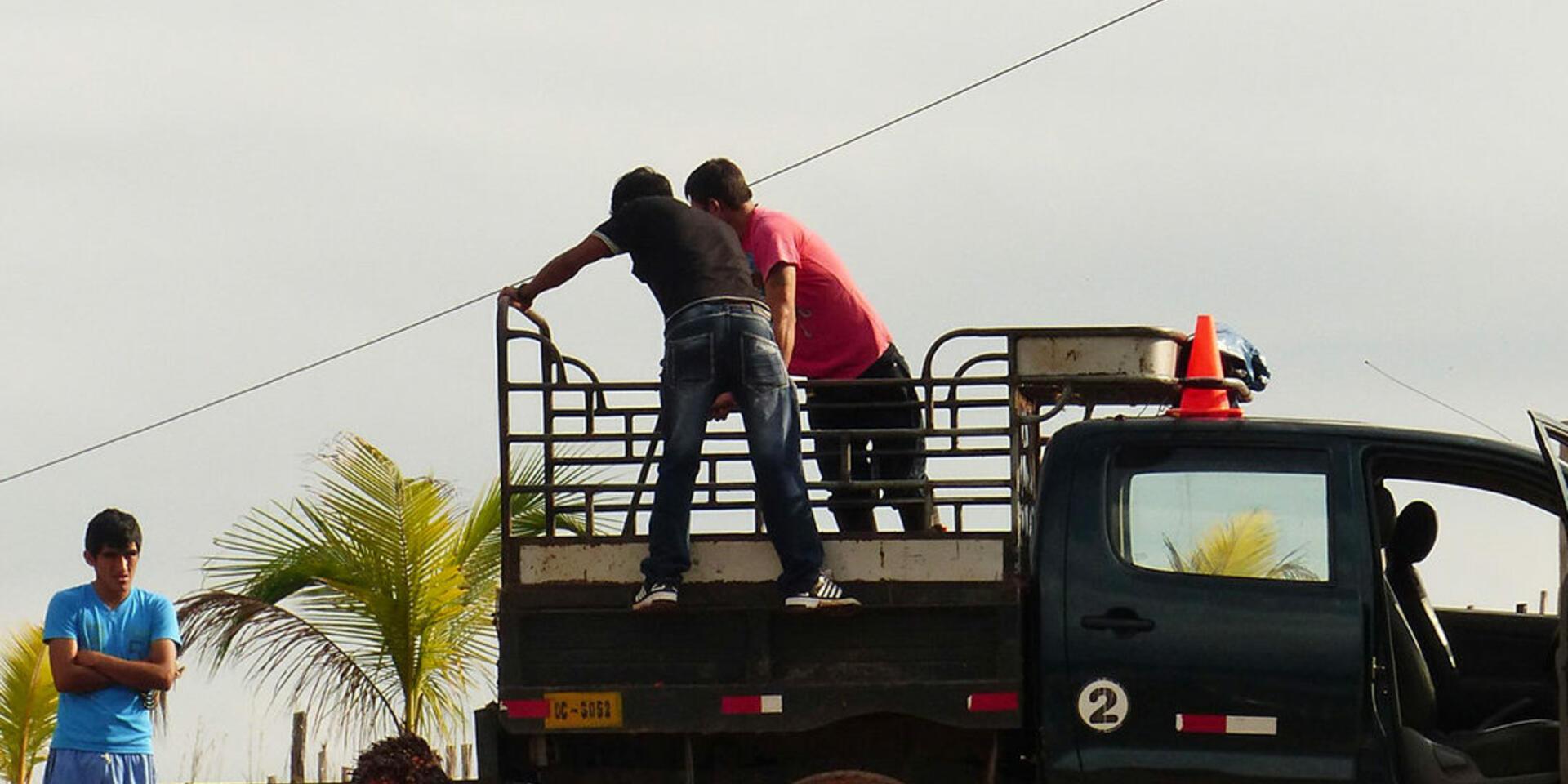 La compleja relaci&oacute;n entre deforestaci&oacute;n y diversidad de la dieta en la Amazonia