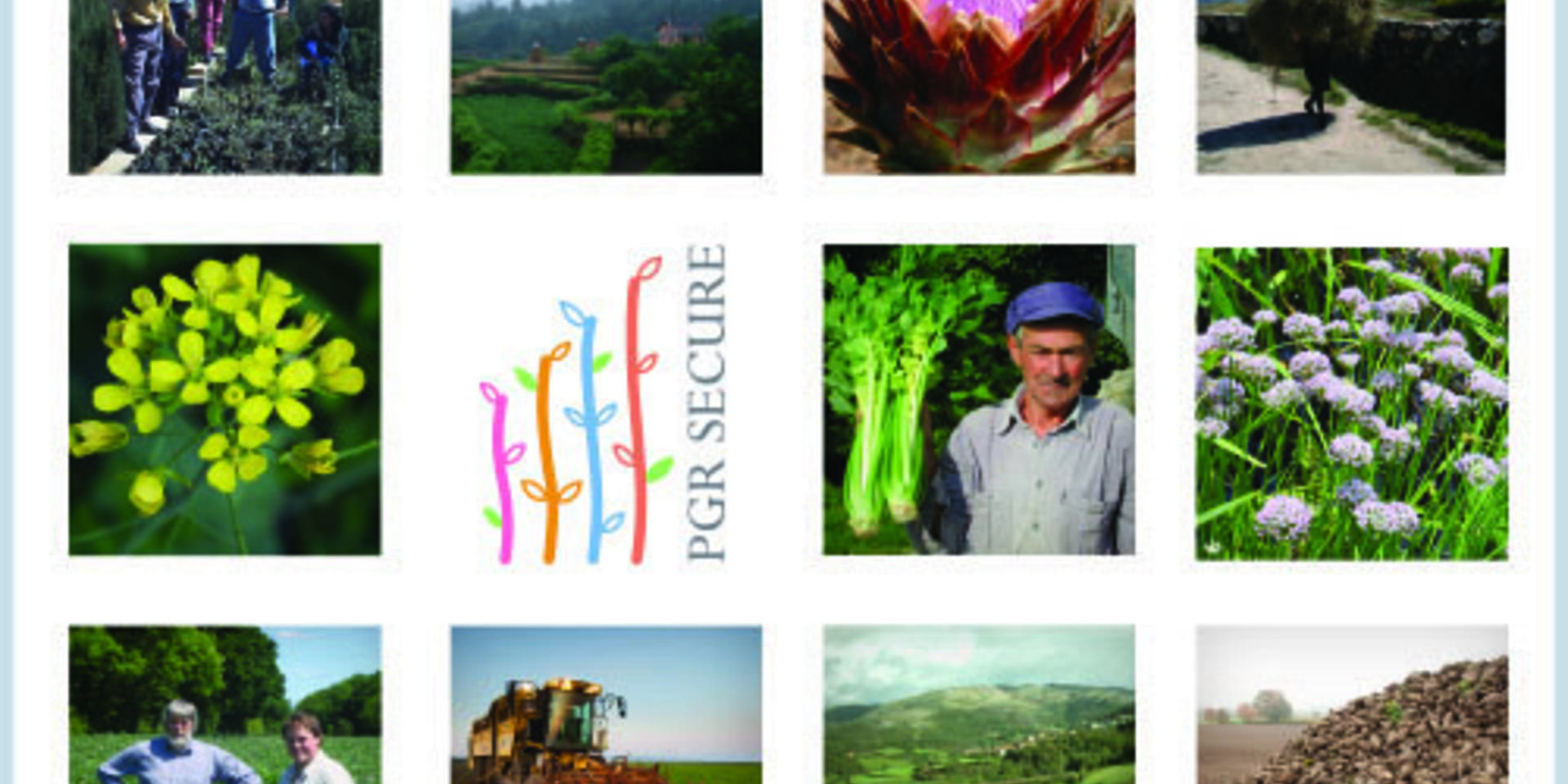 Crop wild relatives and landraces conference open for abstracts
