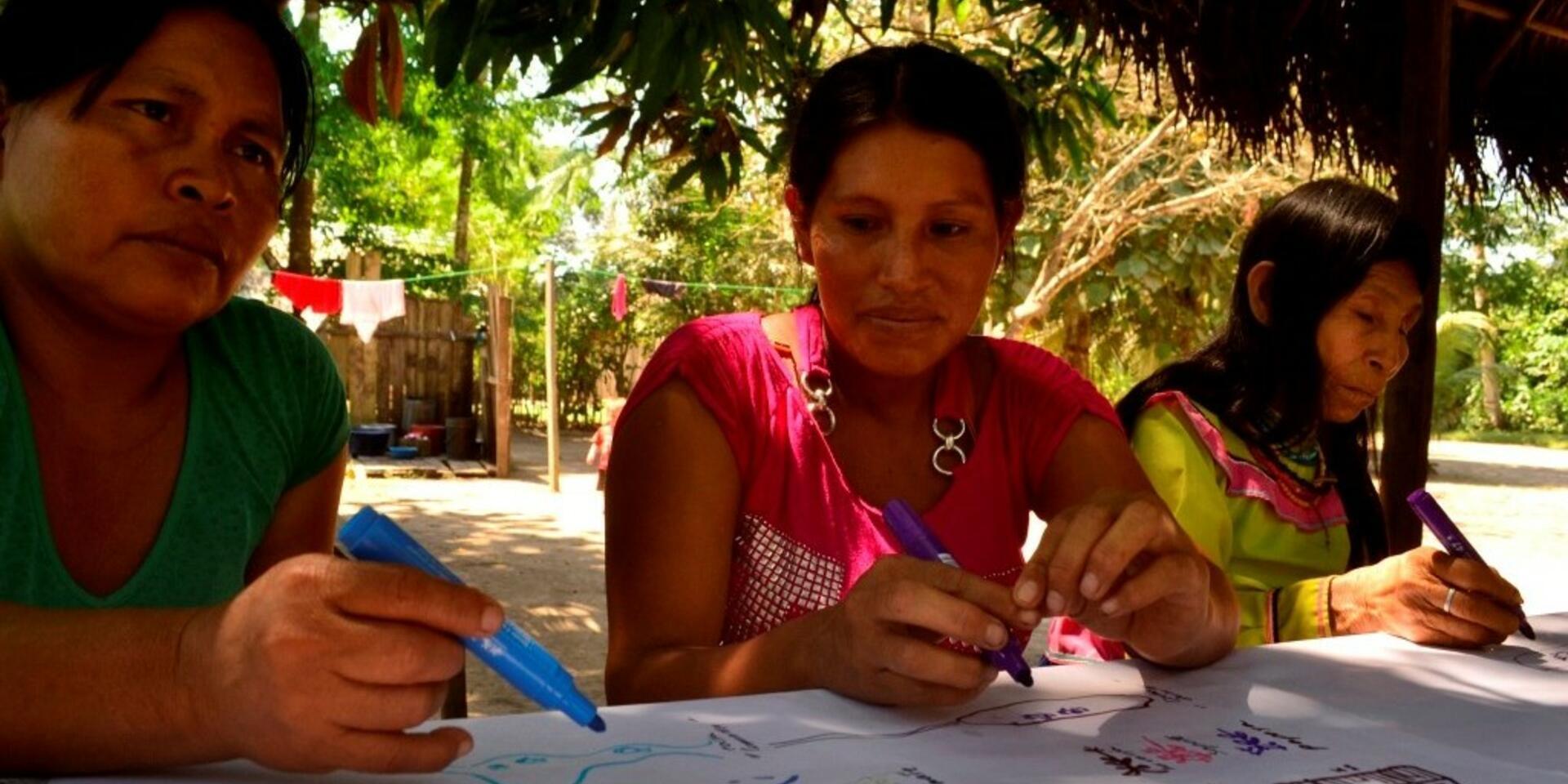 Finalization of ASSETS&rsquo; fieldwork activities in the Amazon