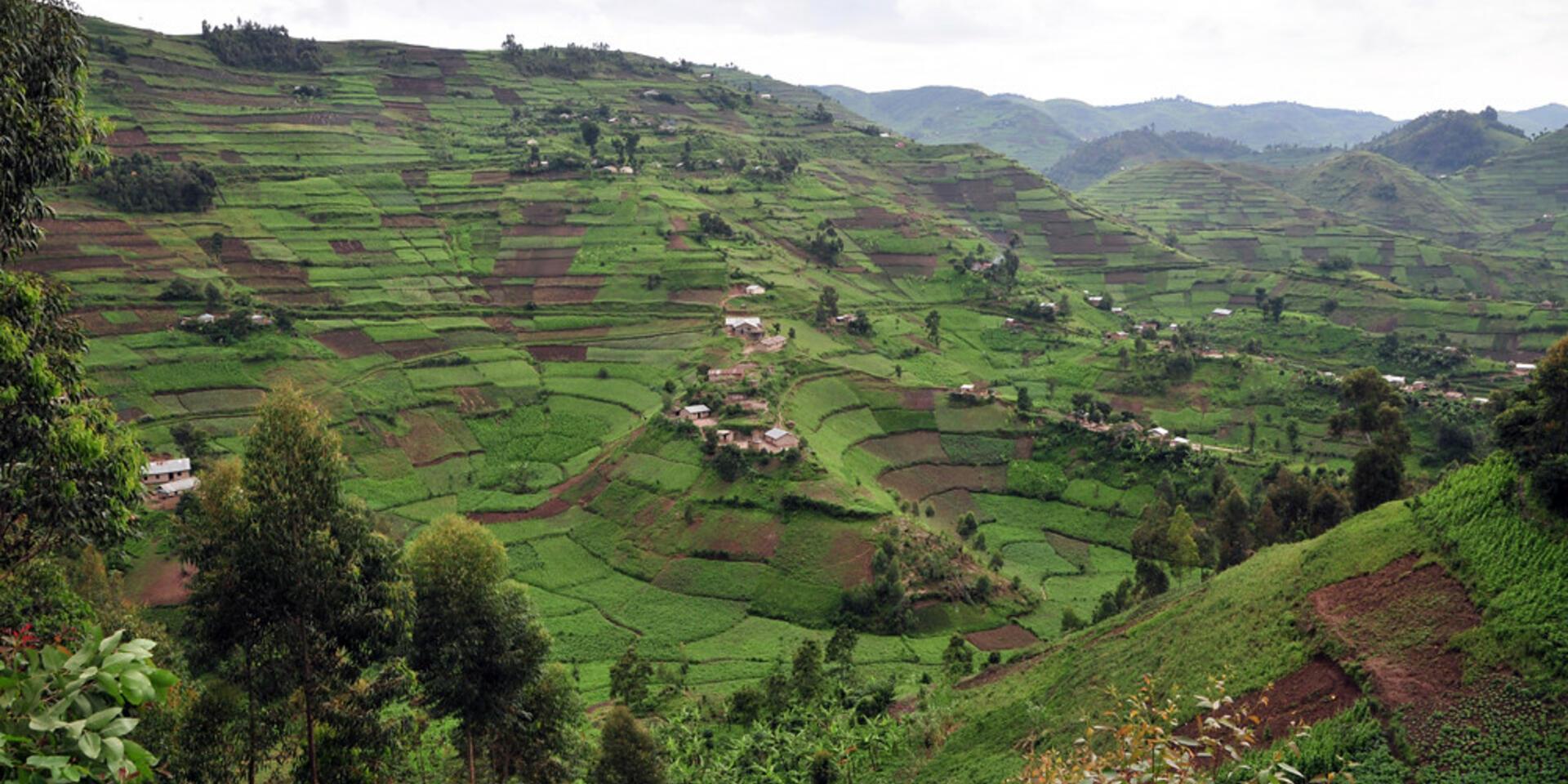 With 30,000 surveys, researchers build the go-to dataset for smallholder farms