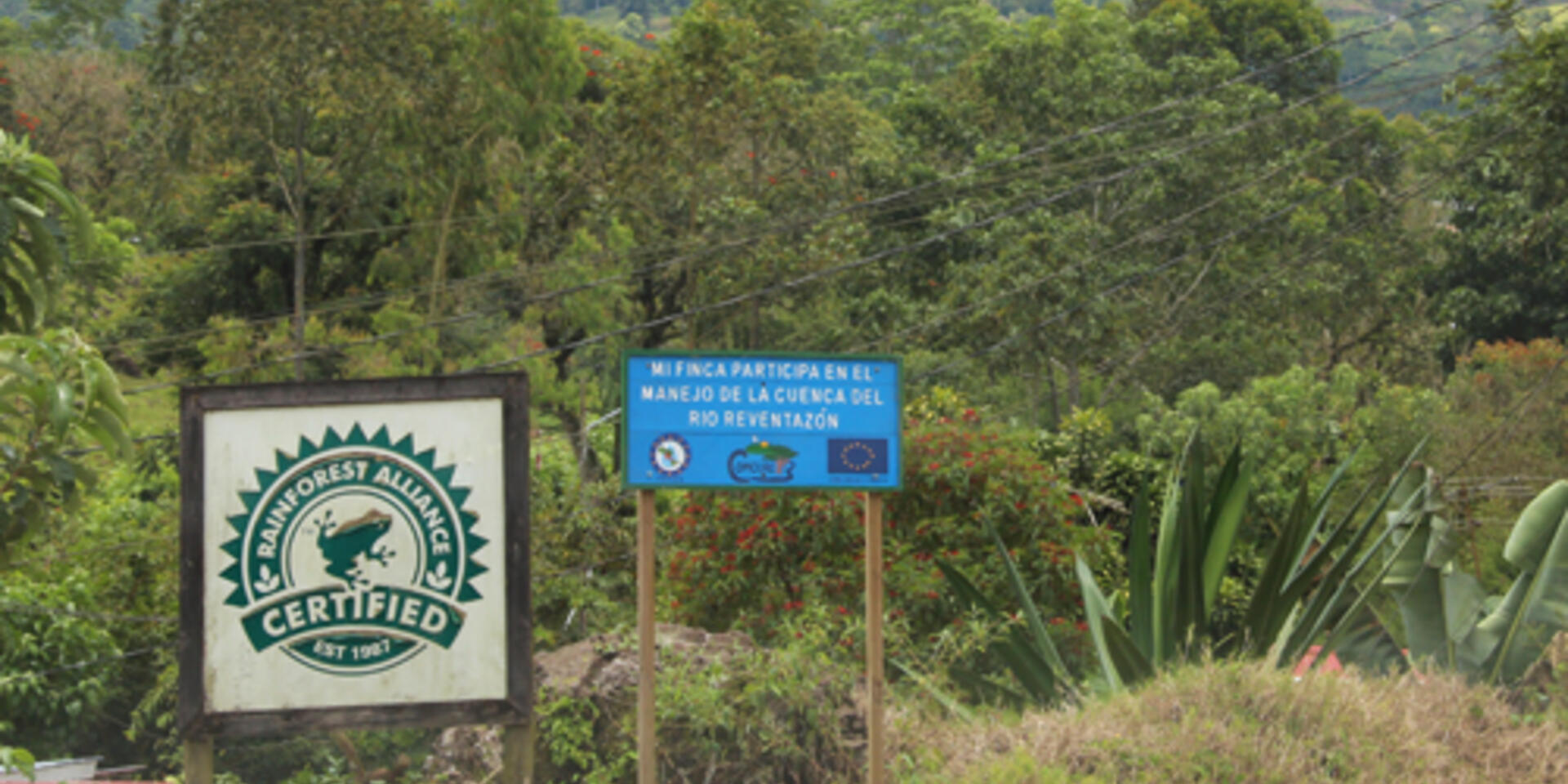 The incompatibility of ecosystem-based agriculture with business thinking