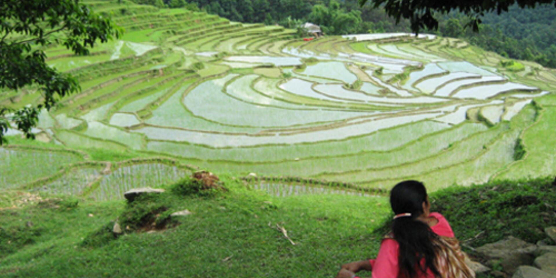 Promoting agricultural biodiversity on the mountains of Nepal