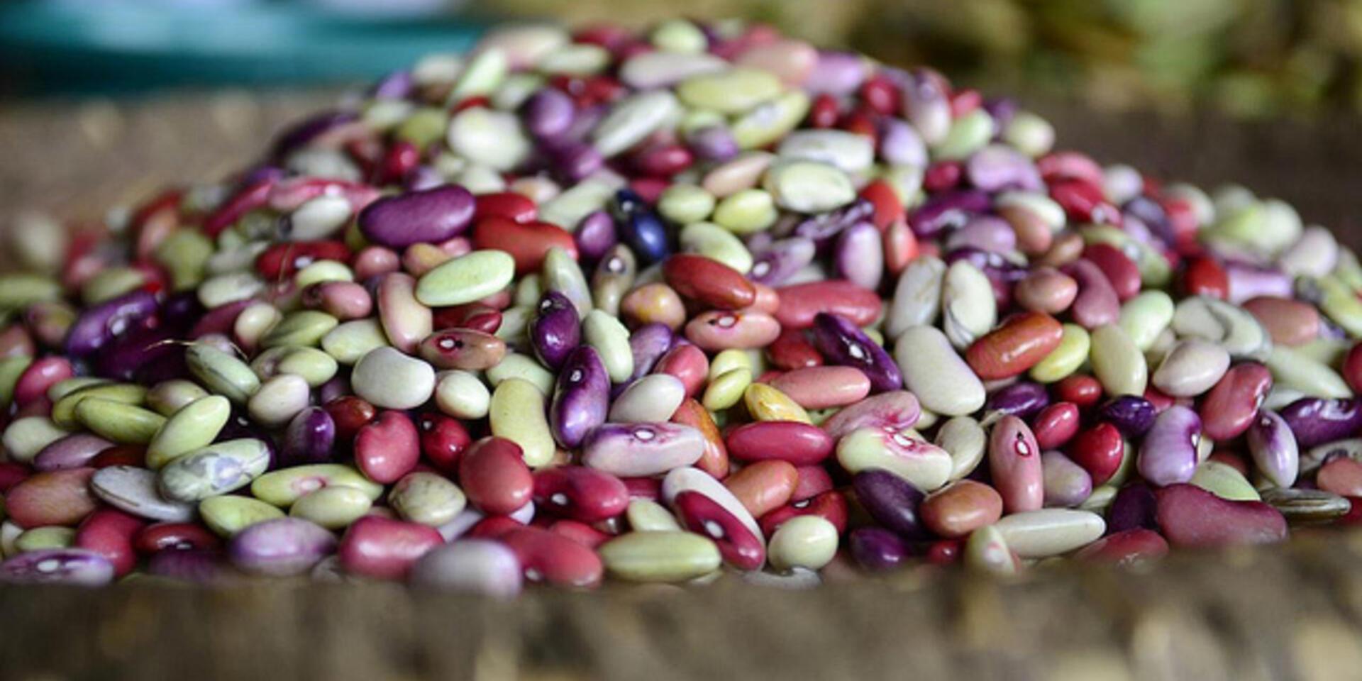 The road out of poverty depends on feeding our children nutritious food first