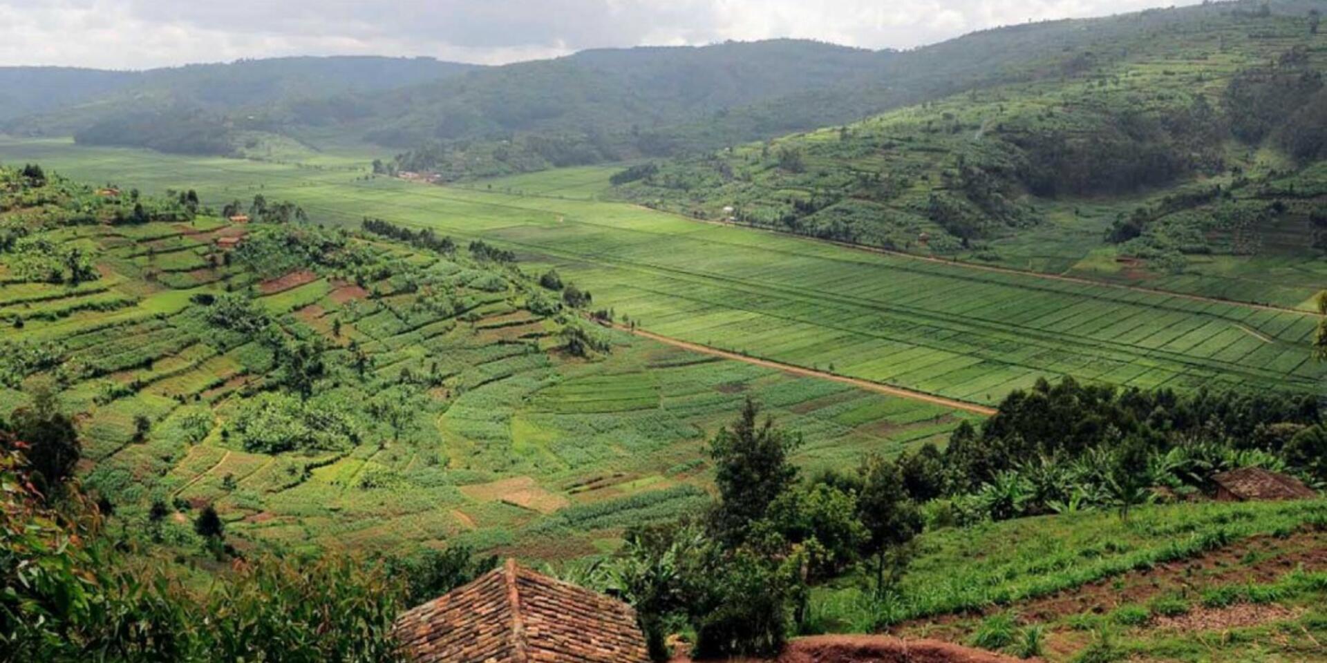 Transforming Rwanda&rsquo;s missing climate data into information for farmers