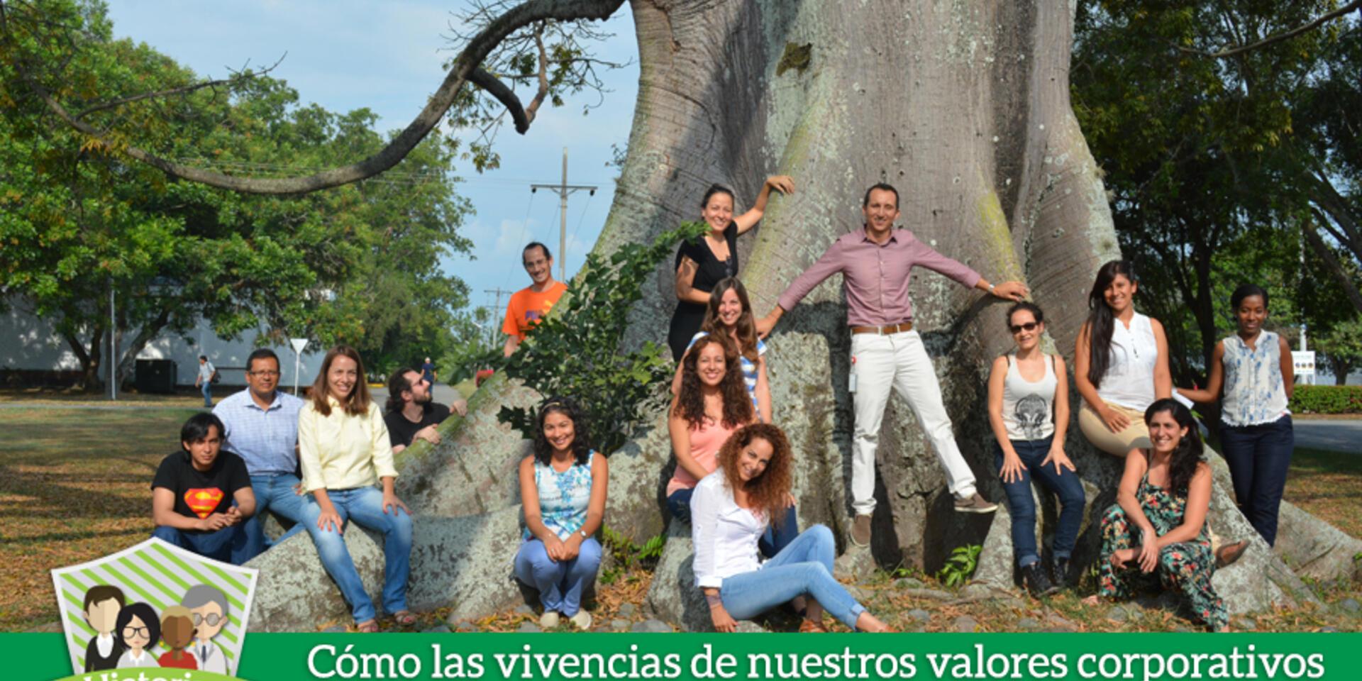 Servicios ecosist&eacute;micos: trabajo en equipo para un futuro eco-eficiente
