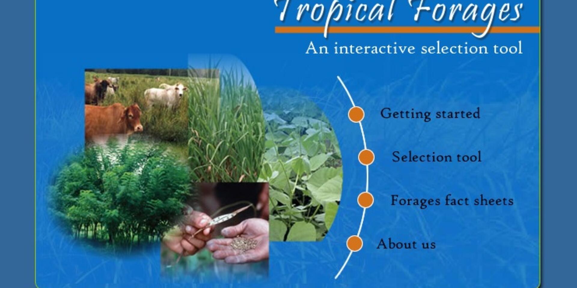 Selection of Forages for the Tropics - the SoFT Tool