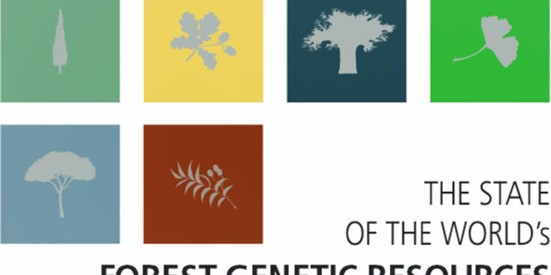 Action needed to safeguard genetic diversity of the world's forests