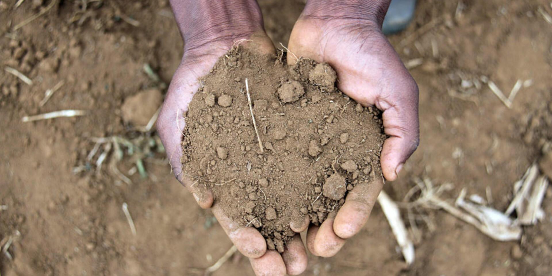 Estudio: agricultores podr&iacute;an incrementar su producci&oacute;n y contribuir a reducir hasta una gigatonelada m&eacute;trica de emisiones de carbono
