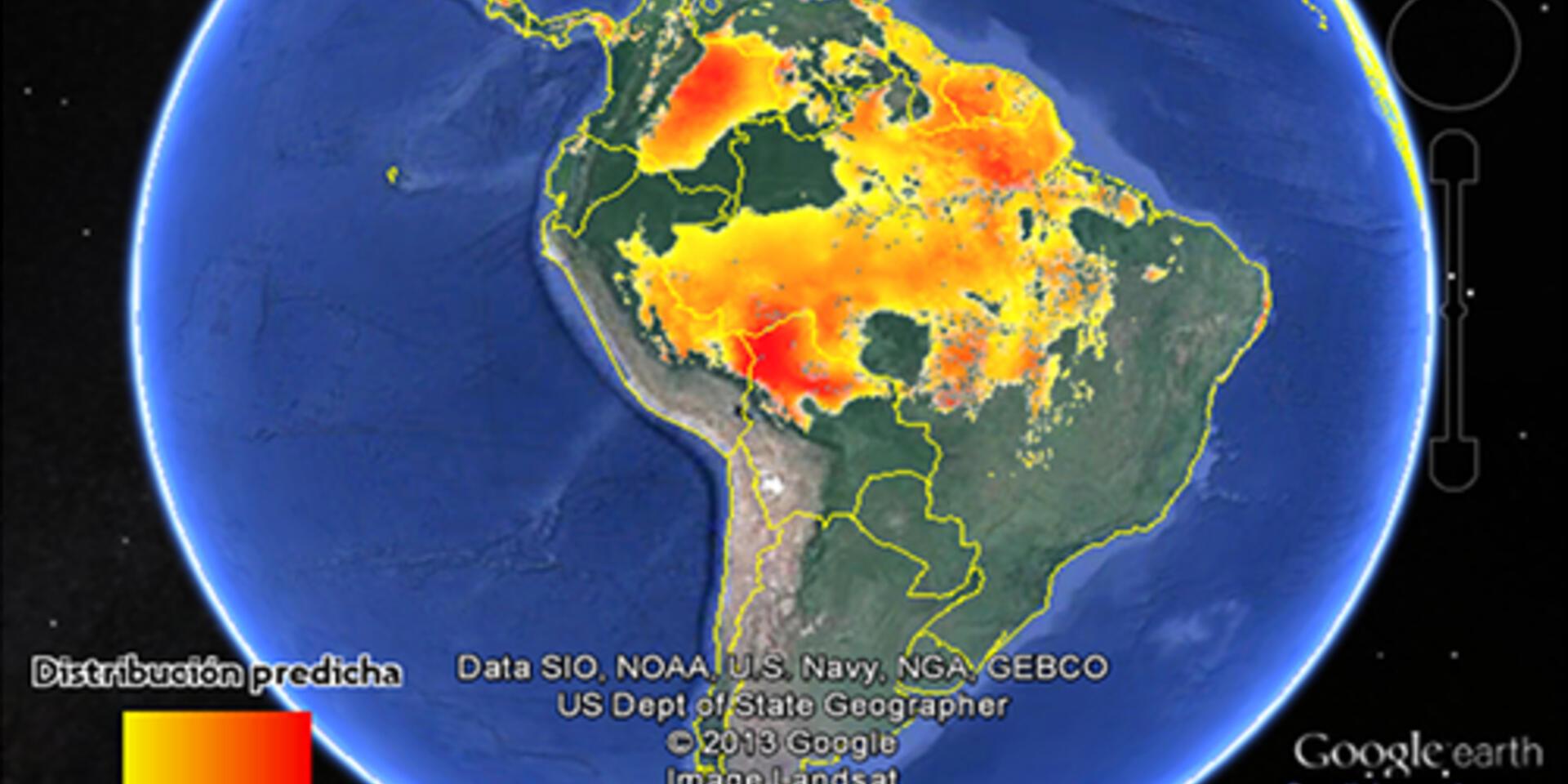 Science 2.0: Species experts help to improve distribution models through Google Earth mapping tool