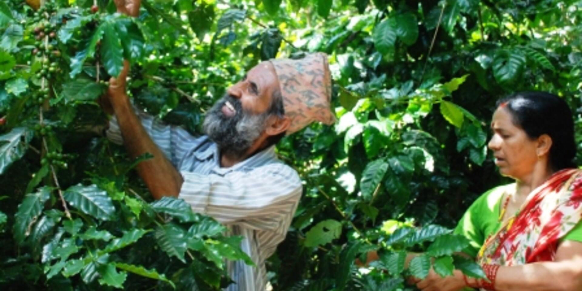 Nutrition from innovation and taste from waste