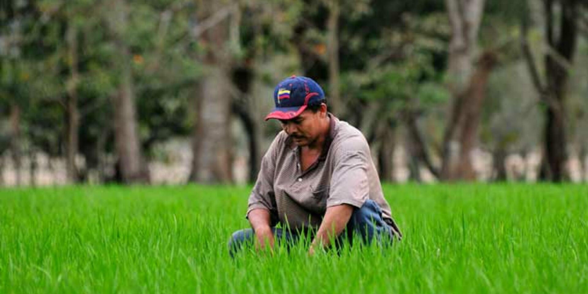 How to end the impasse in the heated sustainable agriculture debate