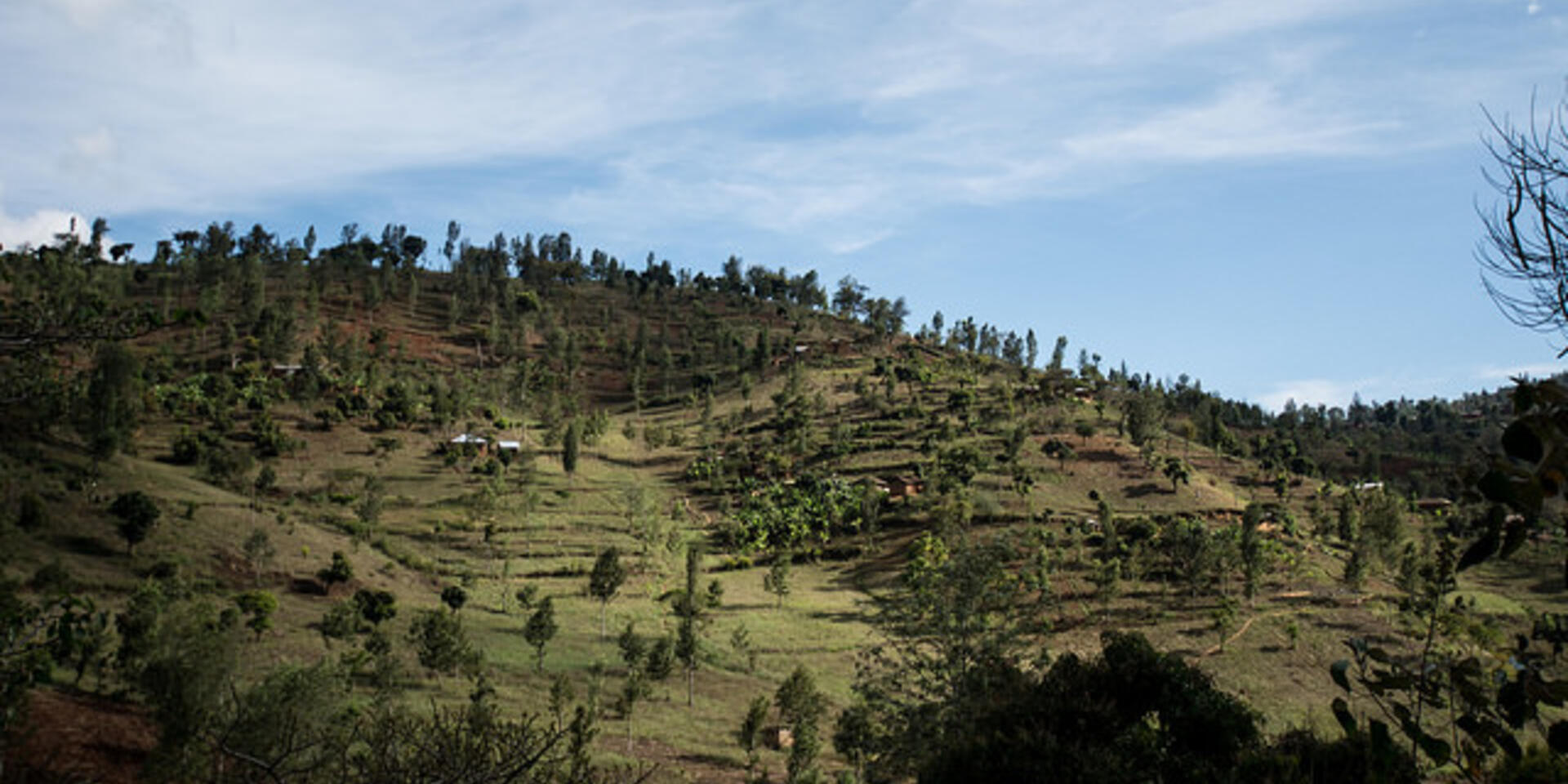 Climate-Smart Agriculture profiles to guide investments in three more African countries