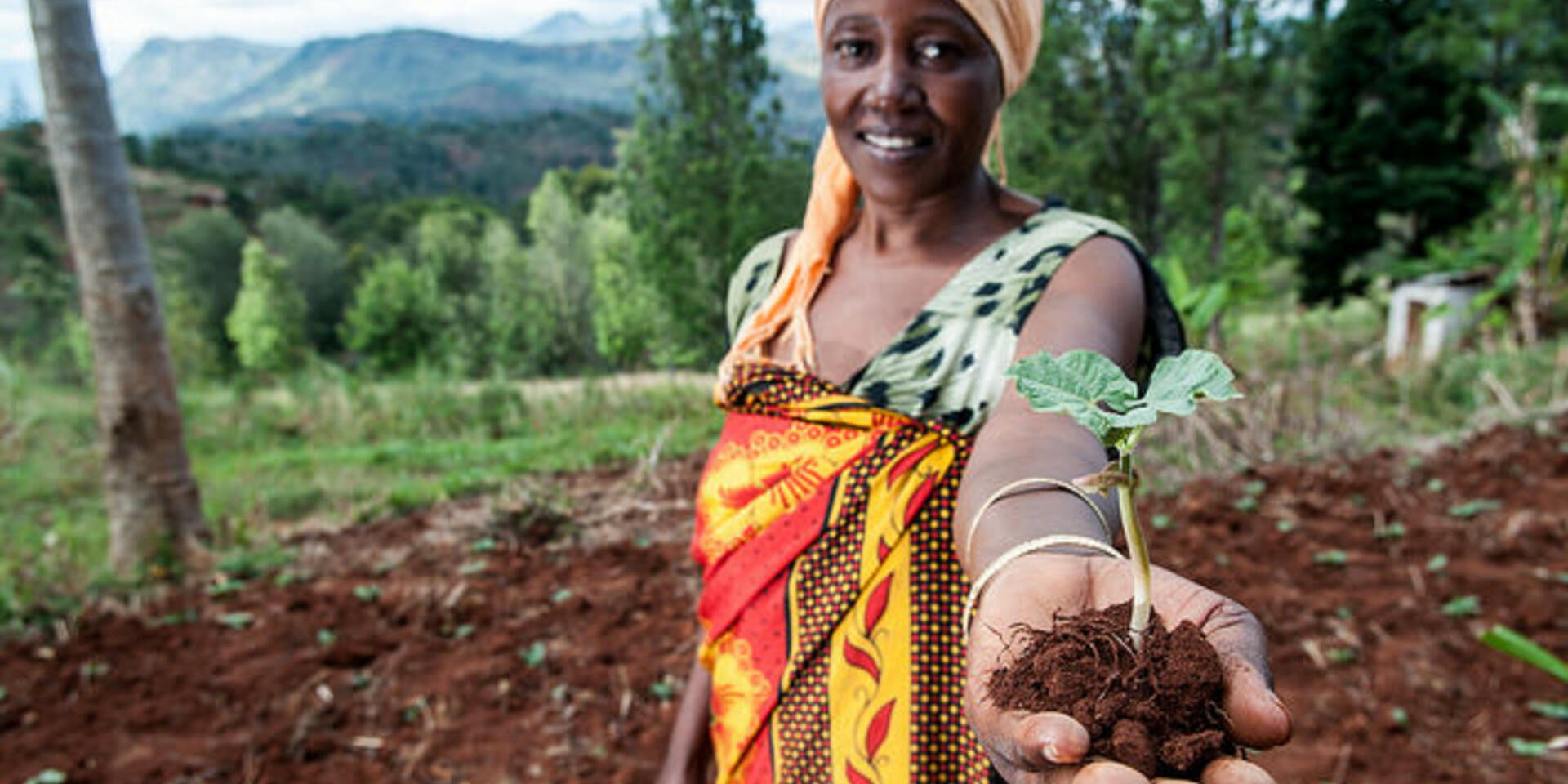 Linking people, nature and prosperity to ecosystem services - yes we can!