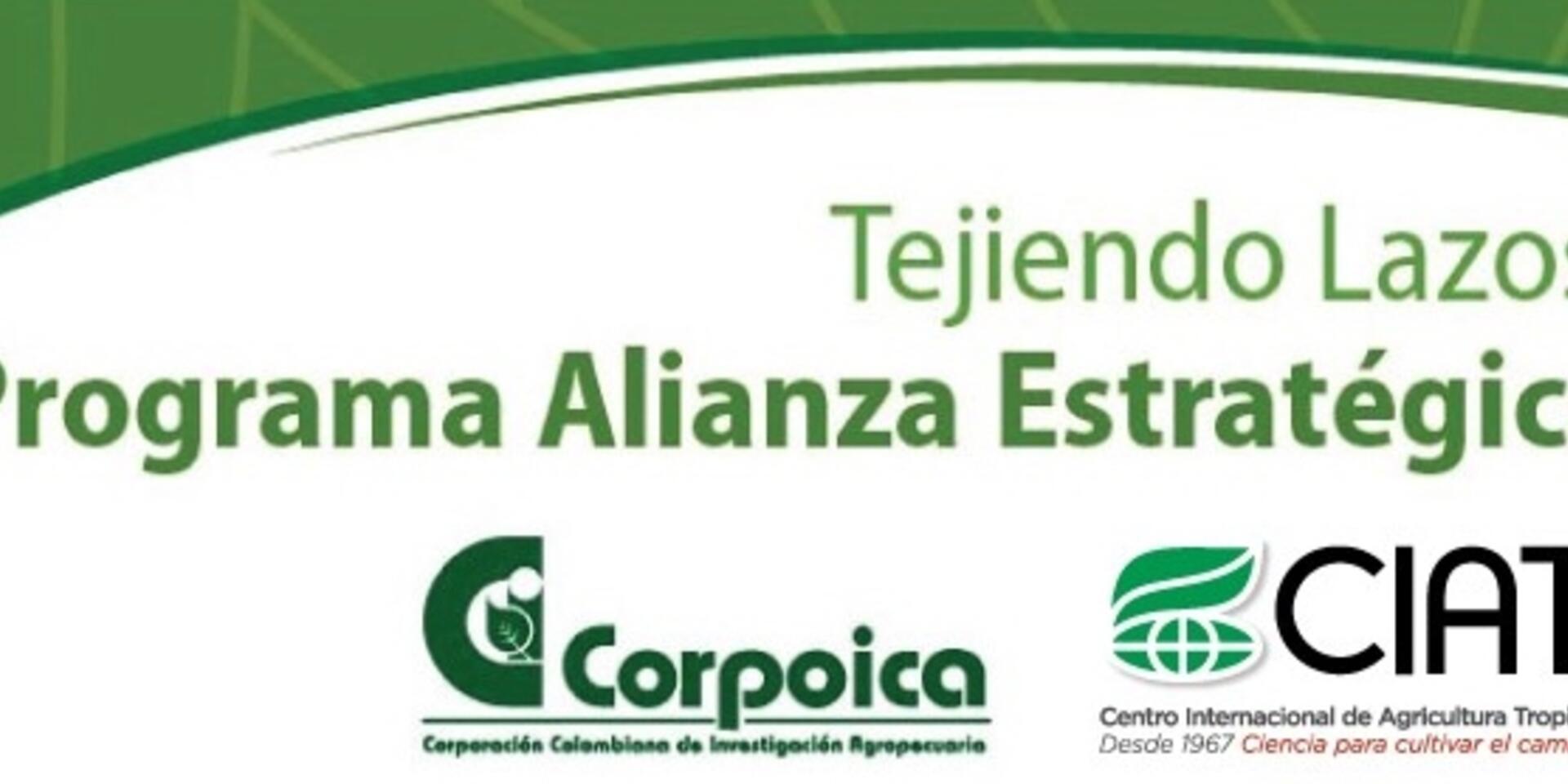 Corpoica y el CIAT, tejiendo lazos para mayor cooperaci&oacute;n