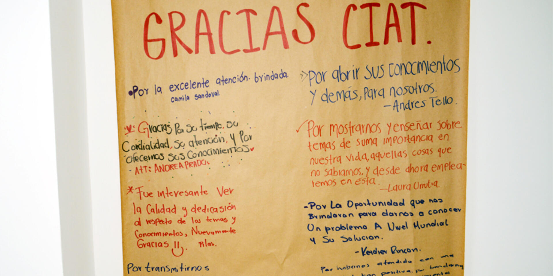 140 j&oacute;venes participaron en la &ldquo;Casa Abierta&rdquo; del CIAT