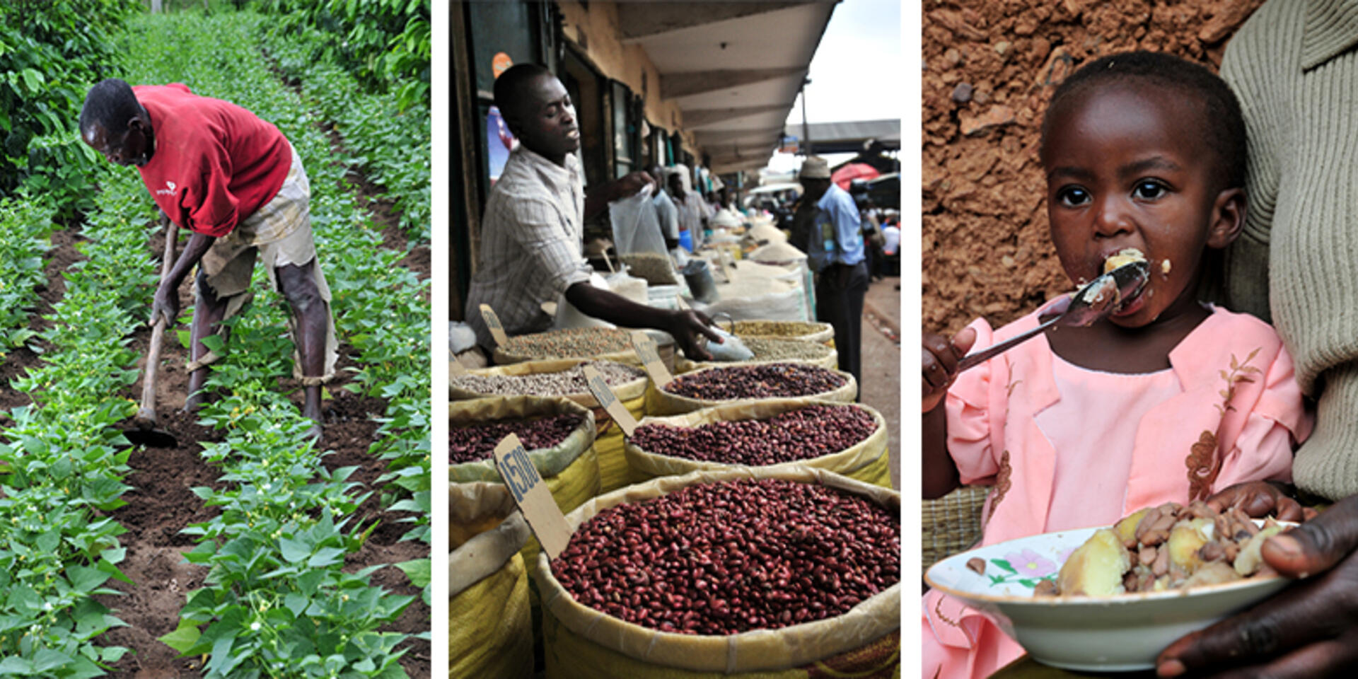 CIAT work on nutrition sensitive value chains in East Africa showcased at FAO in Rome