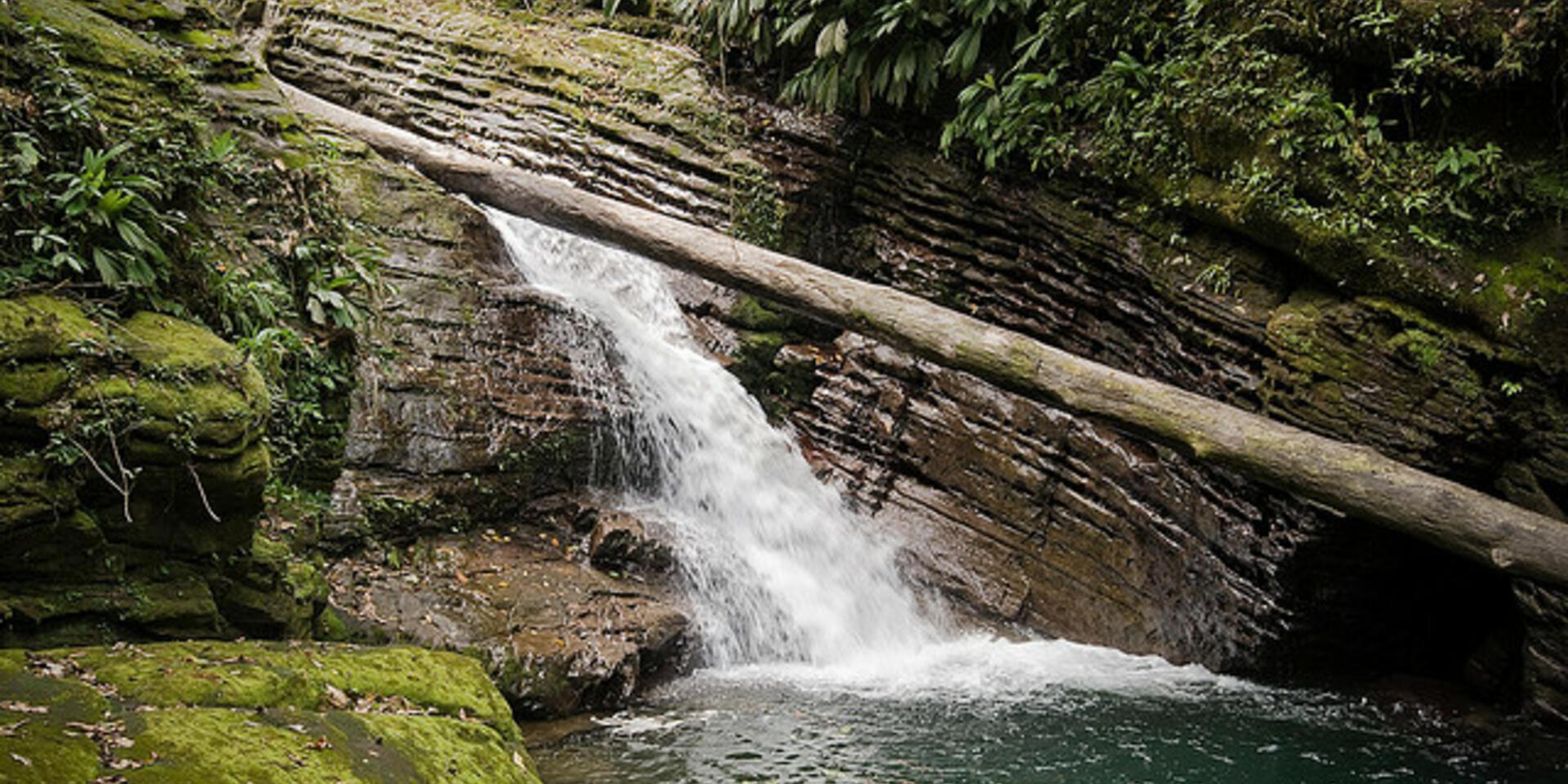 Learn how to use an ecosystem services approach &ndash; two training courses