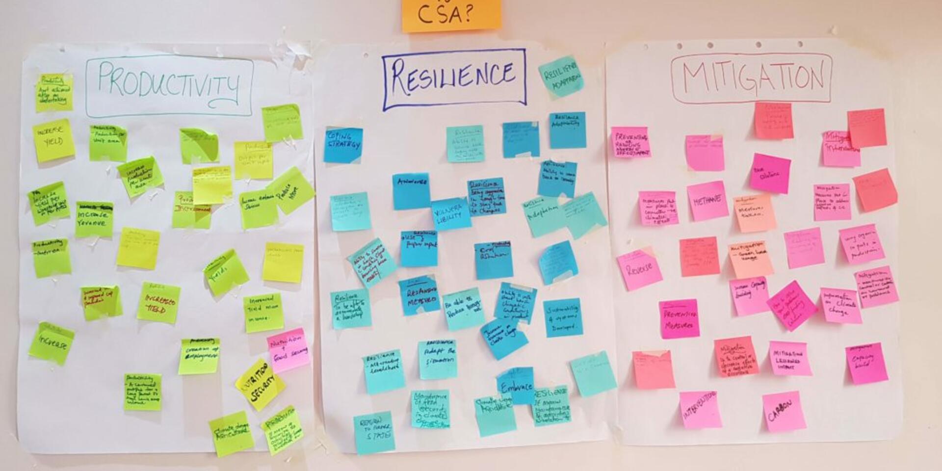 Subnational climate-smart agriculture (CSA) action planning: Lessons learned with Veronica Ndetu, head of the Climate Change Unit of the Ministry of Agriculture