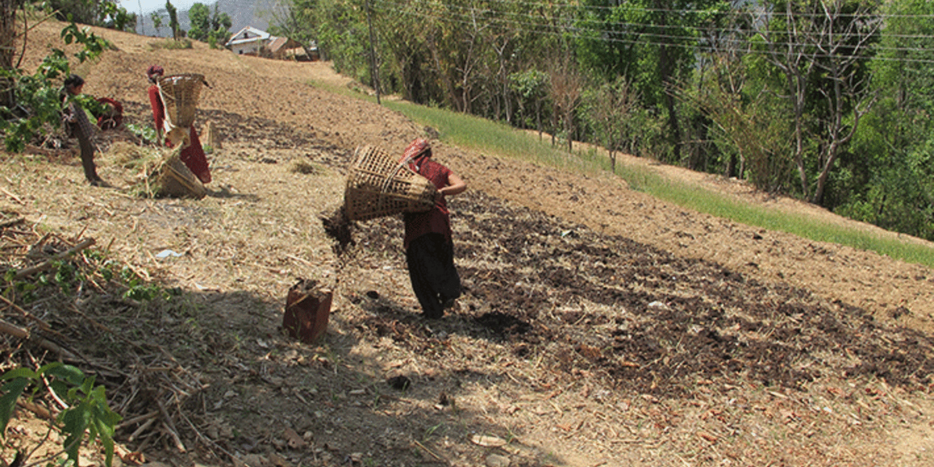 A closer look at gender relations in forest landscape restoration