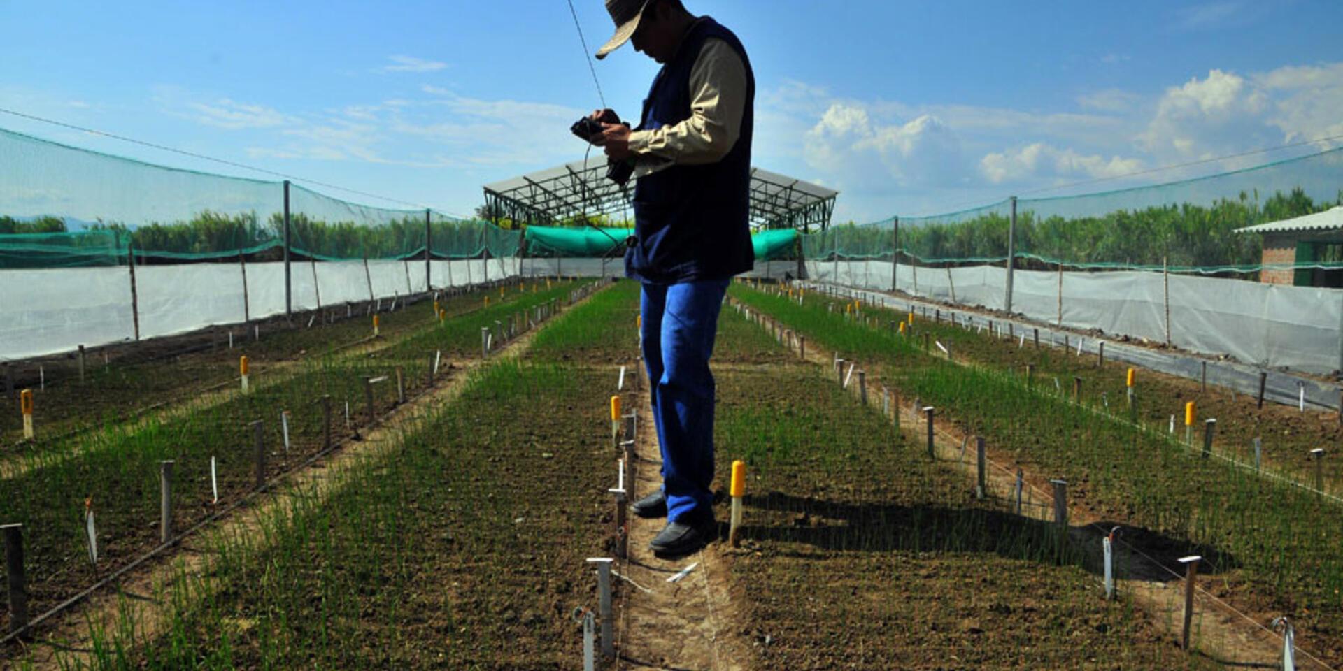 Sharing is caring &ndash; especially when it comes to agricultural data
