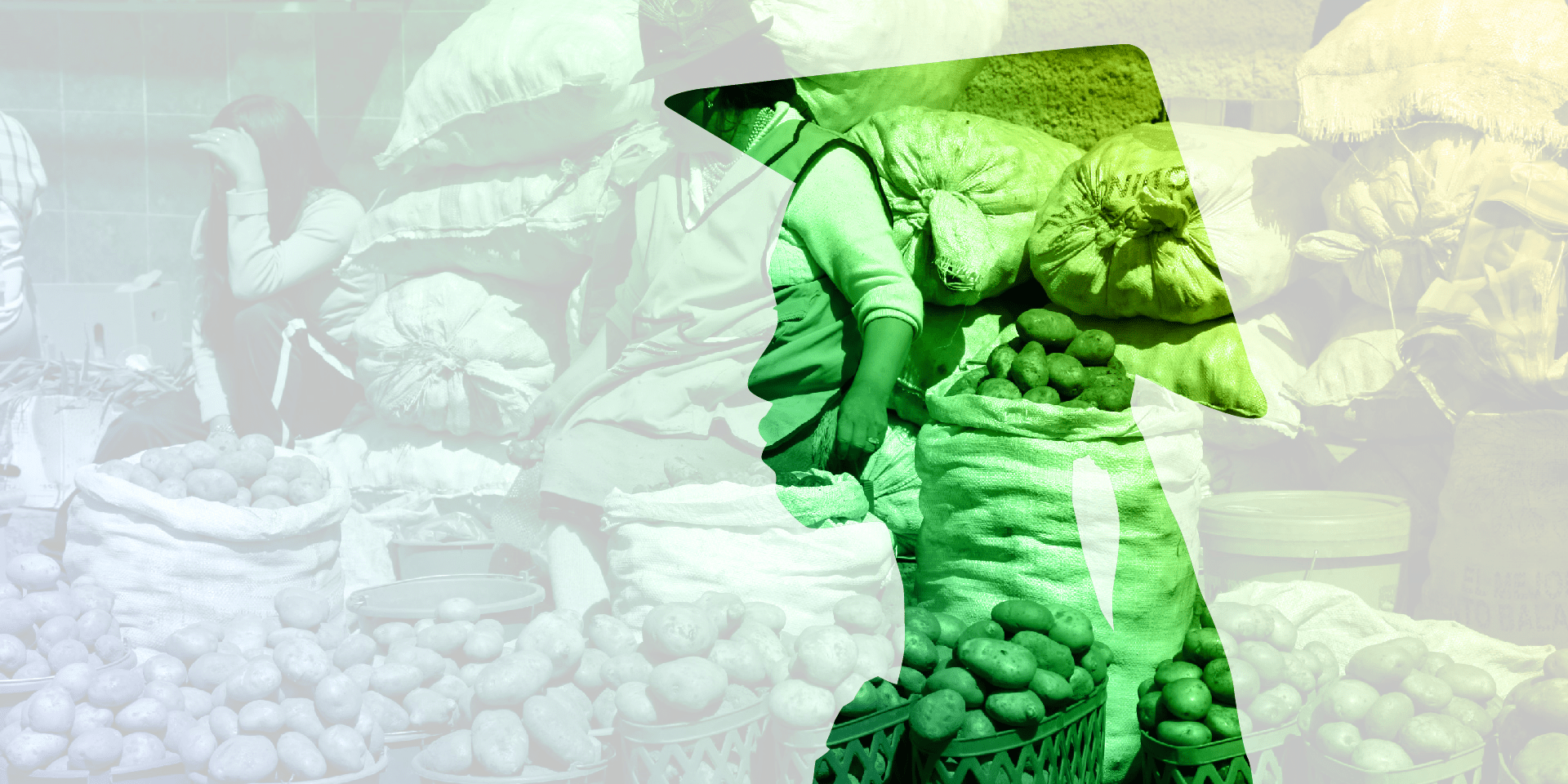 Image depicting the Markets section in the 2022 Annual Report by Alliance of Bioversity International and CIAT: Linking Farmers and Livelihoods