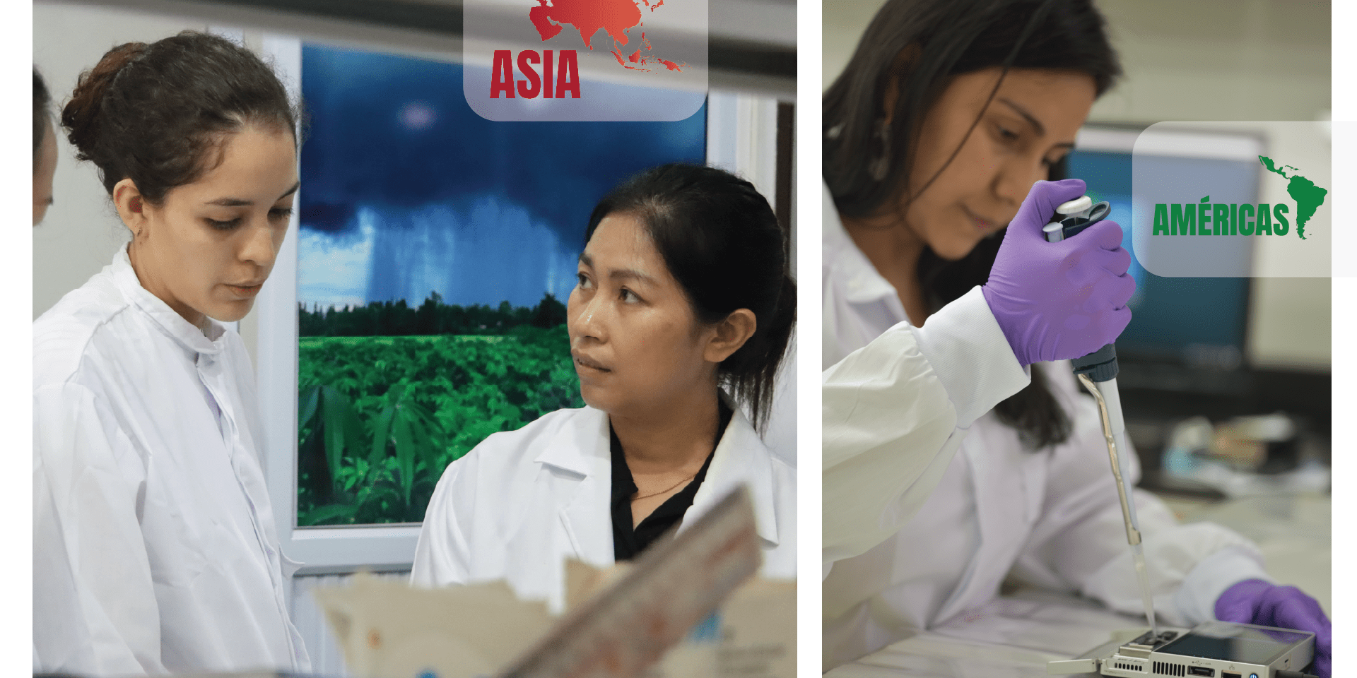 the-invisible-side-of-science-protecting-crops-through-nanotechnology-alliance-bioversity-international-ciat.jpg