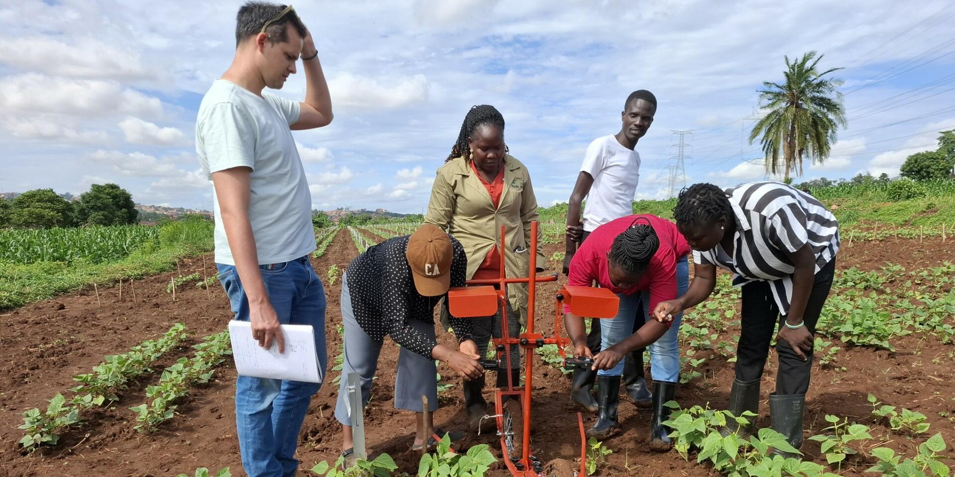 Artificial Intelligence meets Agriculture - Annual Report 2025 - Alliance Bioversity International - CIAT