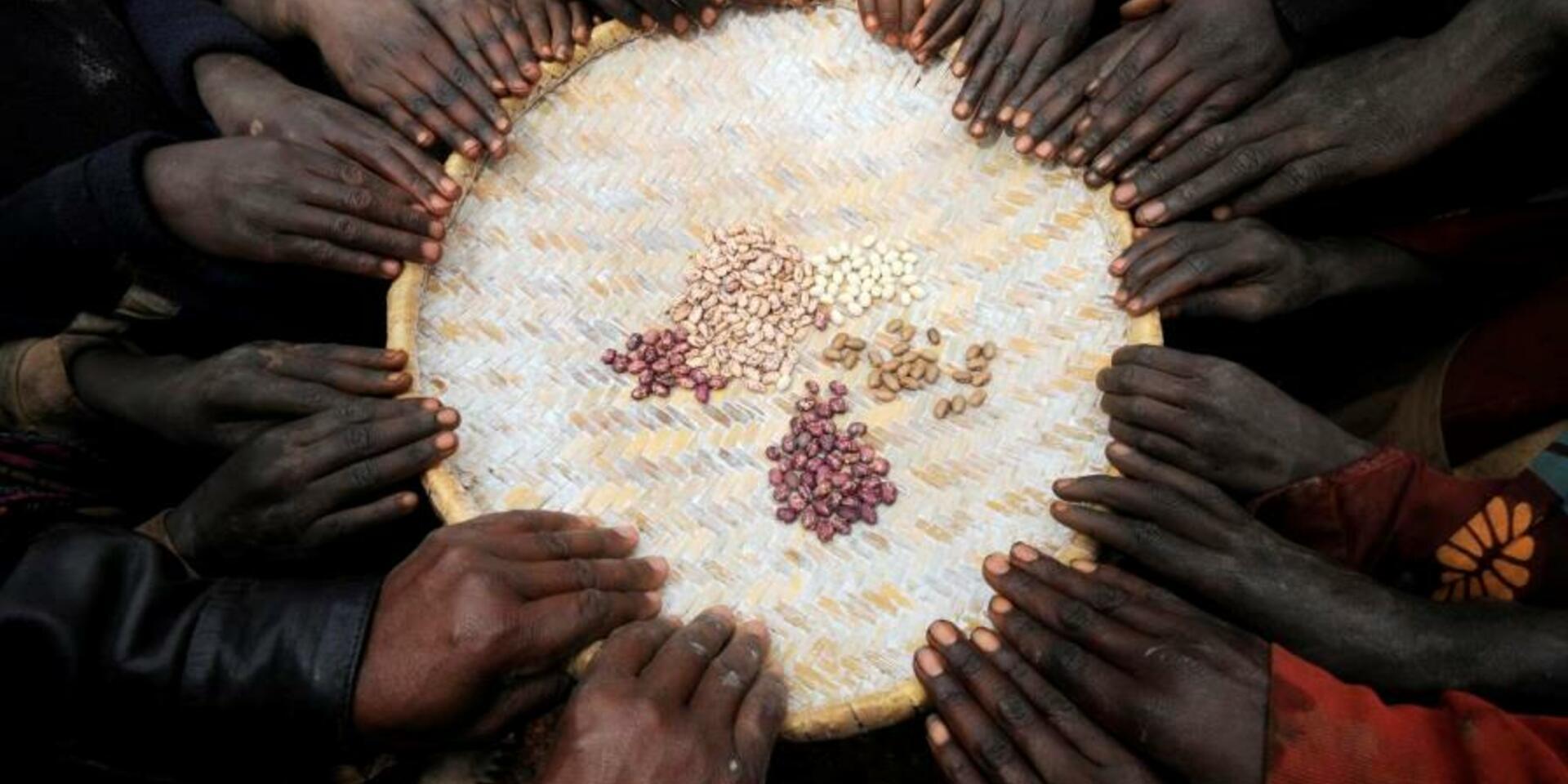 African policy makers turn on to biofortification