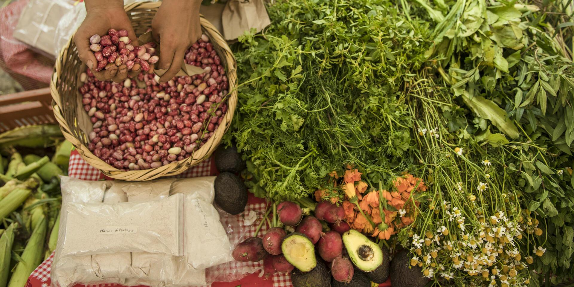 Beyond the protein obsession -  Building sustainable food systems for people and planet