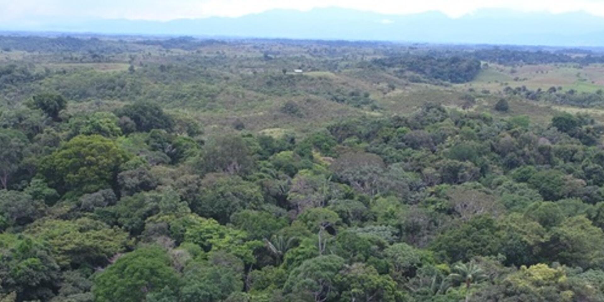 Escalamiento de alternativas de producci&oacute;n ganadera sostenible: Esquemas de financiamiento en la amazonia colombiana