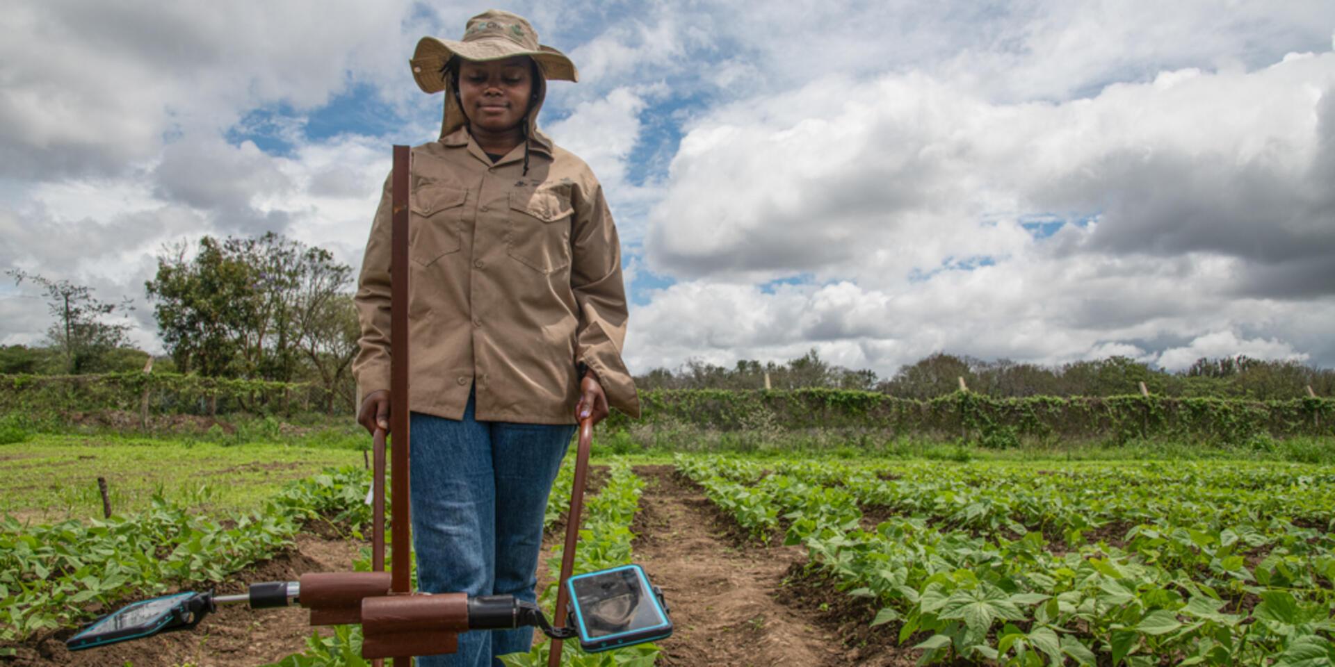 Bruno and Yellow Beans: Artificial Intelligence in the Field - Alliance Bioversity International - CIAT