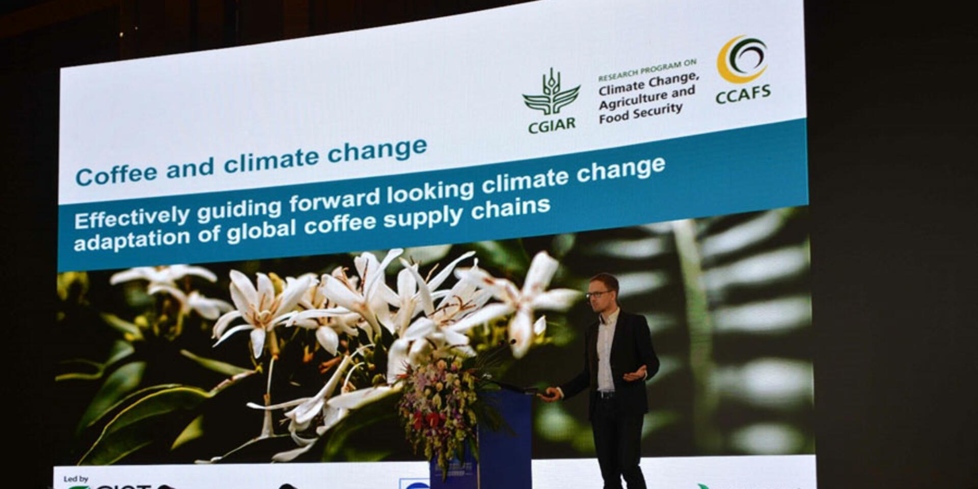The glory of coffee in China