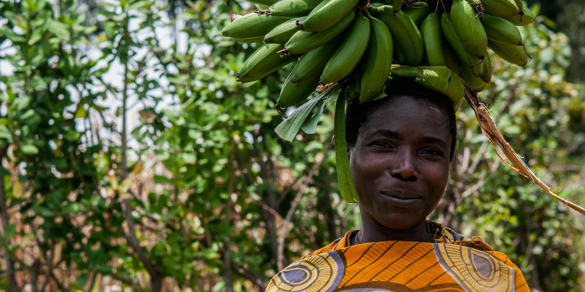 Burundi - Alliance Bioversity International - CIAT