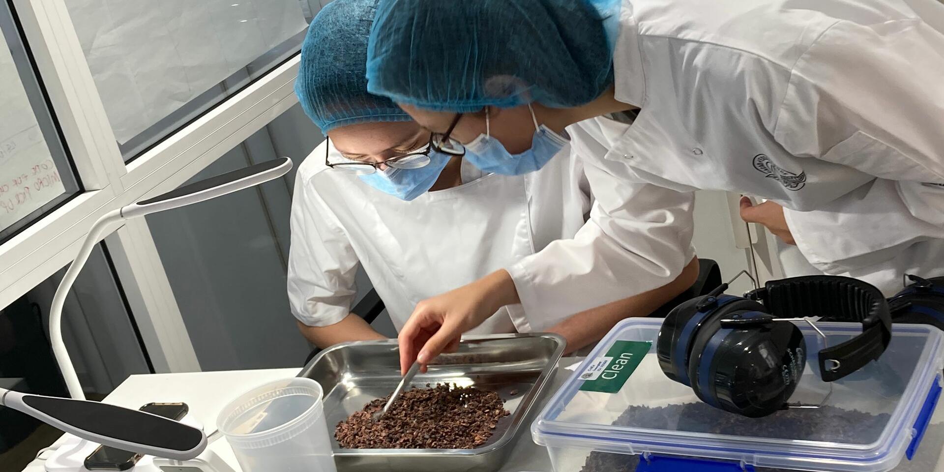 Cacao of Excellence - Alliance Bioversity International - CIAT