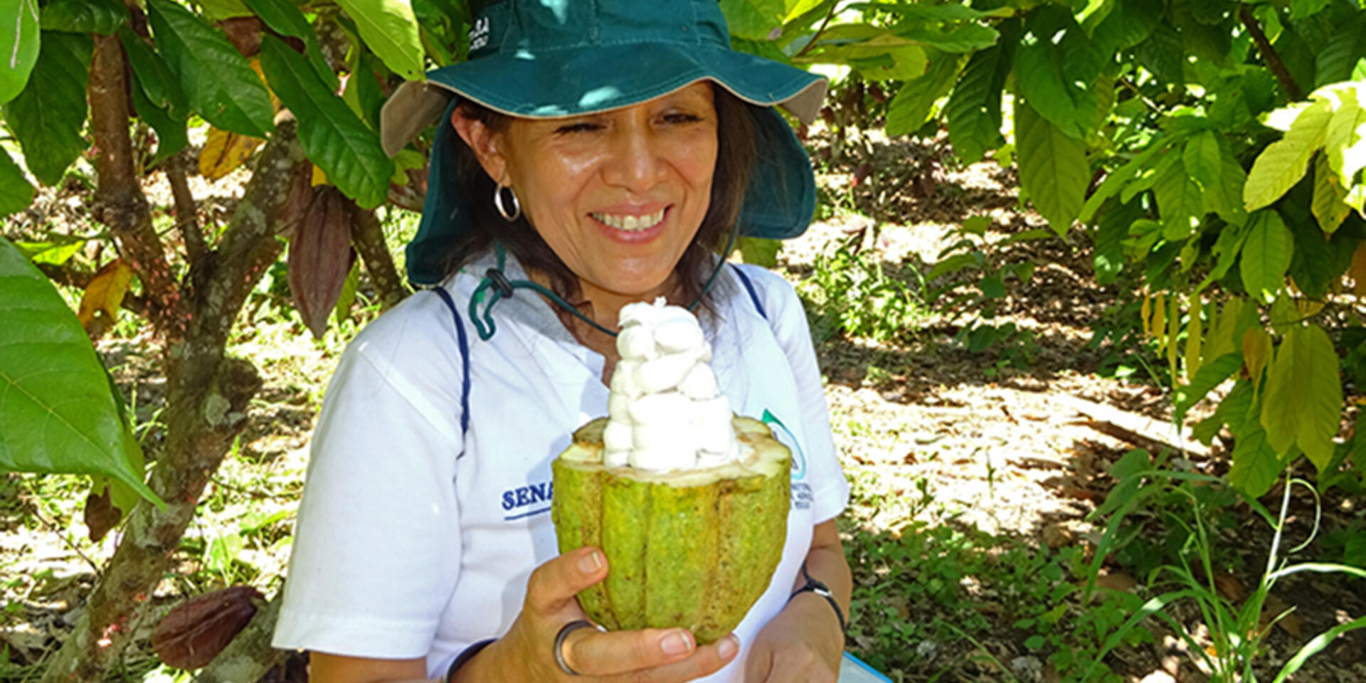 Cadmio en el cacao peruano: enmarcando el problema e investigando soluciones