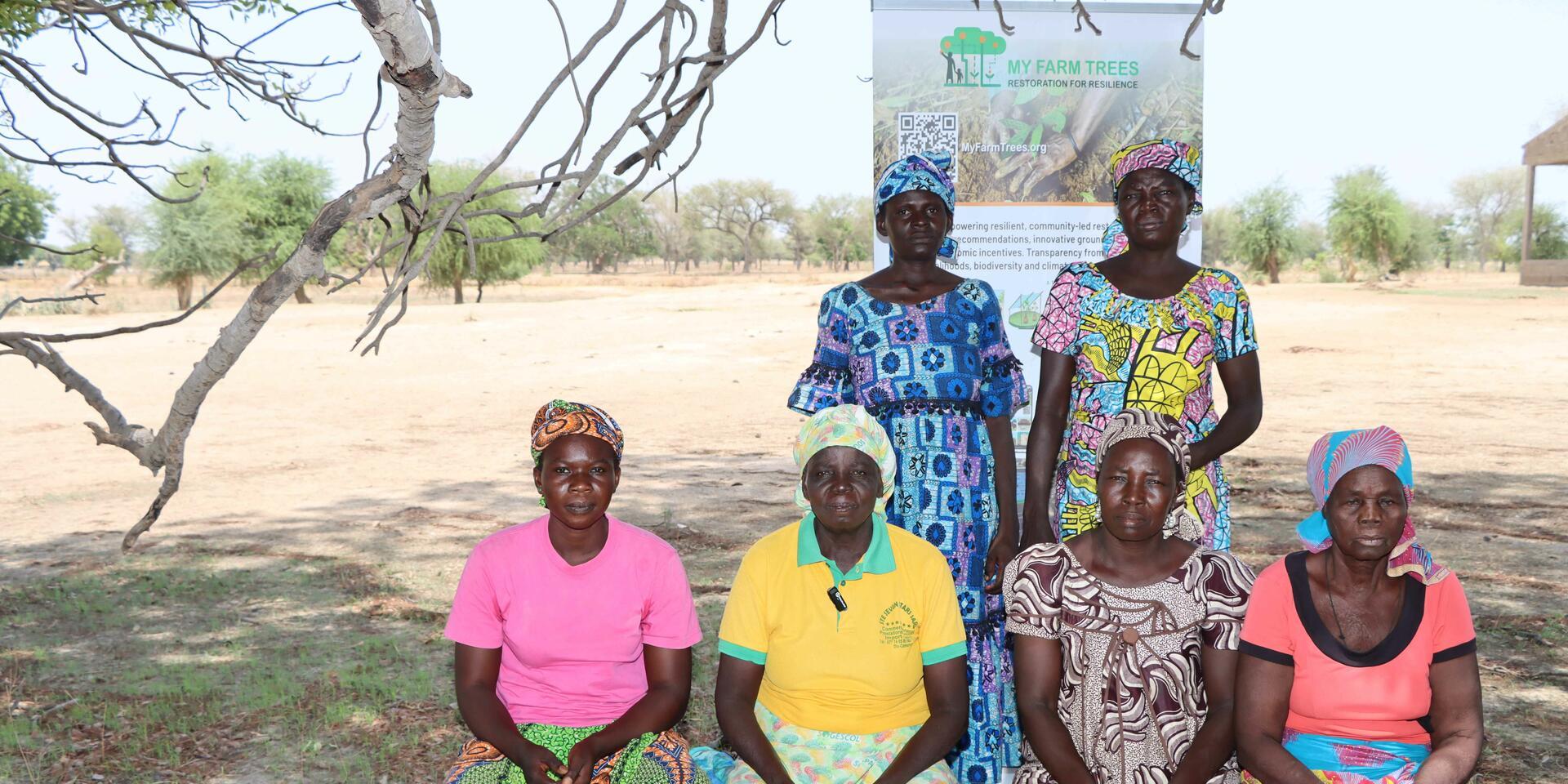 Cameroon - Alliance Bioversity International and  CIAT