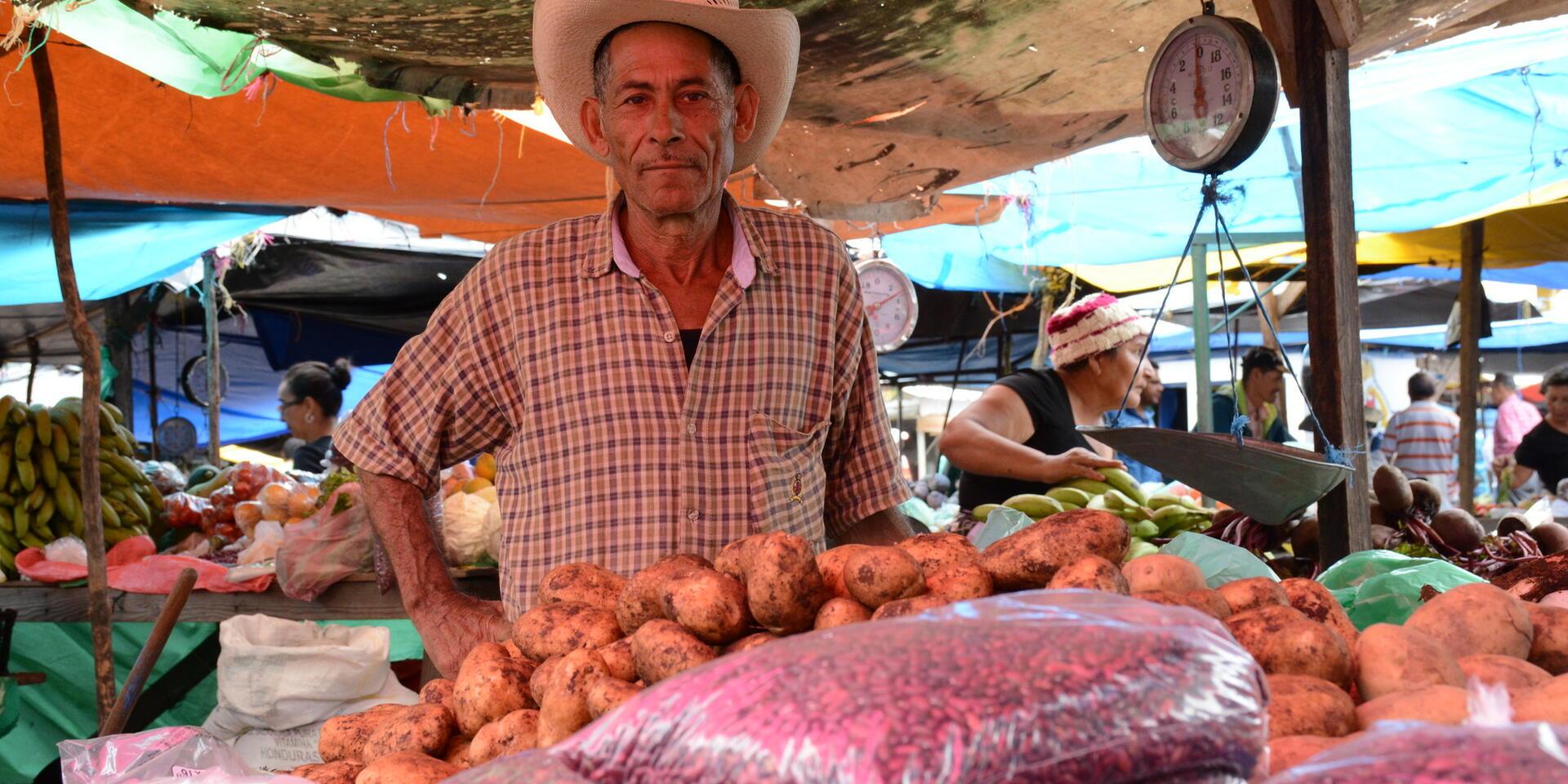 Case studies from the Philippines to Peru - Alliance Bioversity International - CIAT 
