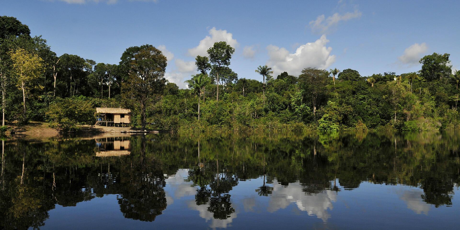 Climate Action - Alliance Bioversity International - CIAT