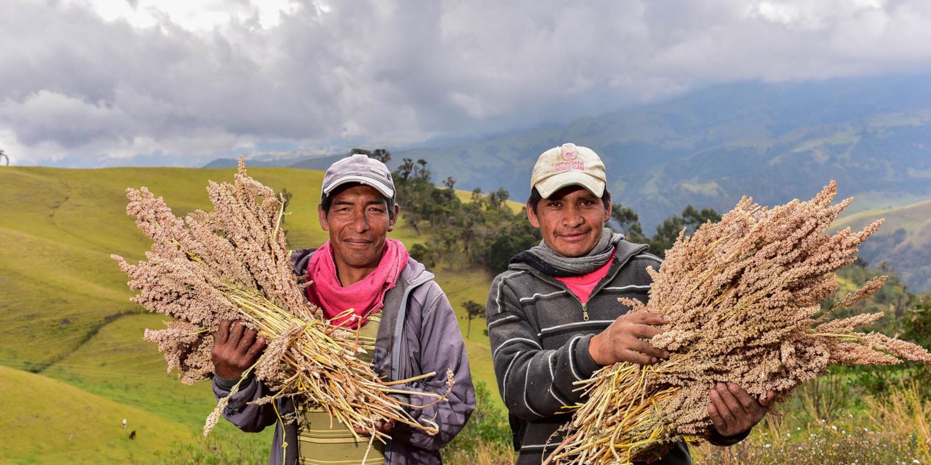 Climate Readiness - Alliance Bioversity International - CIAT