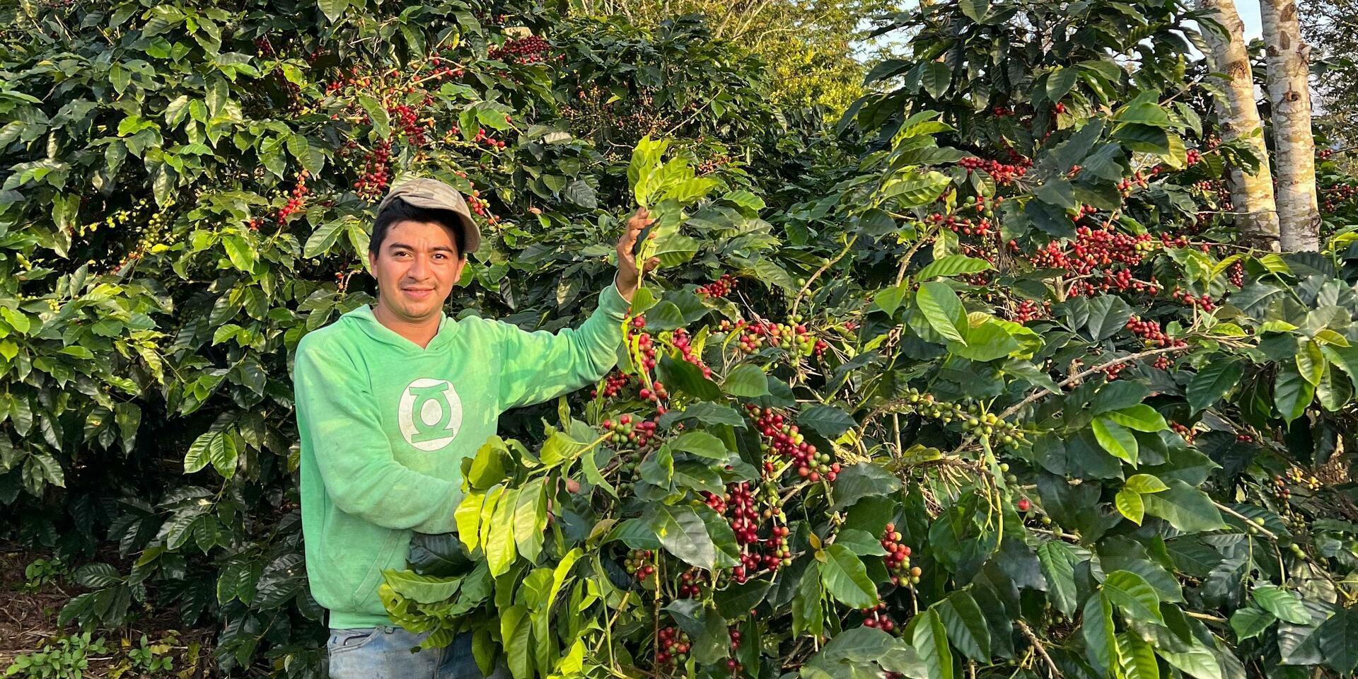 Climate Resilience Platform guides food industry sourcing - Annual Report 2025 - Alliance Bioversity International - CIAT
