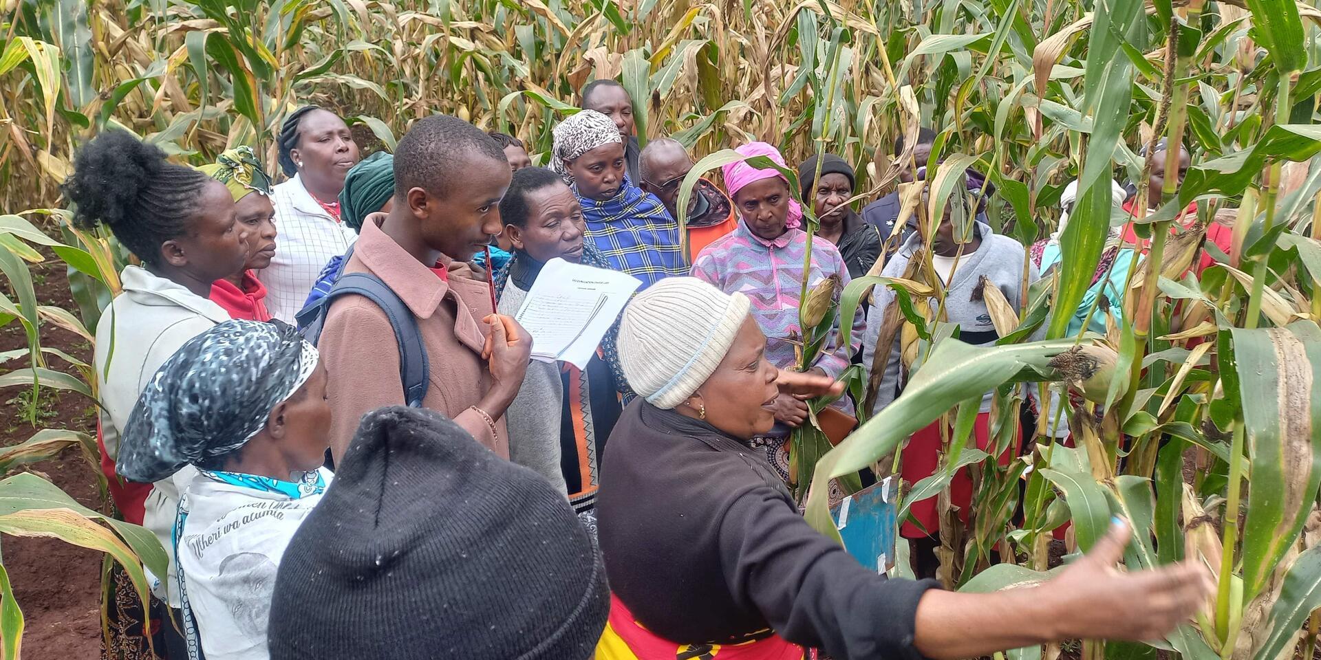 Co-design and learning around diversification for resilient agrifood systems in Kenya - Alliance Bioversity International & CIAT