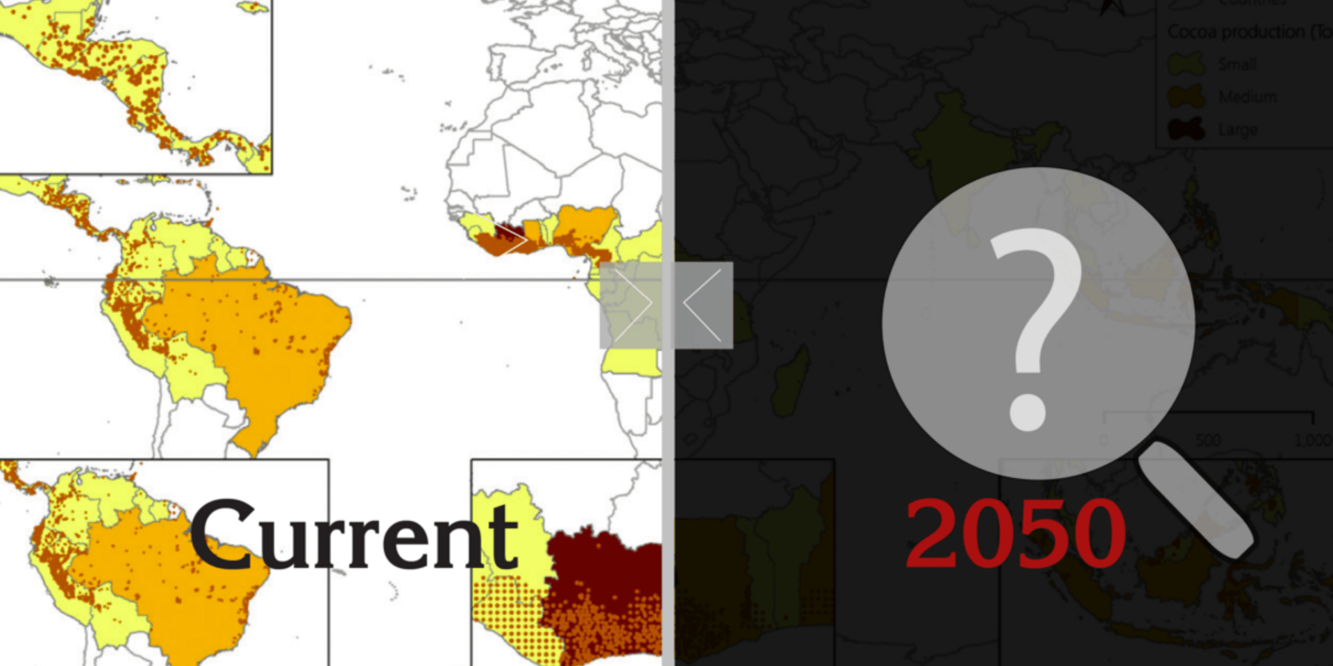 Preparing cocoa production for an unknown future