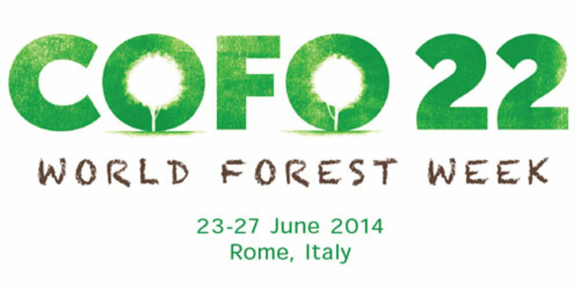 Explore the importance of the world's forests in Rome, Italy